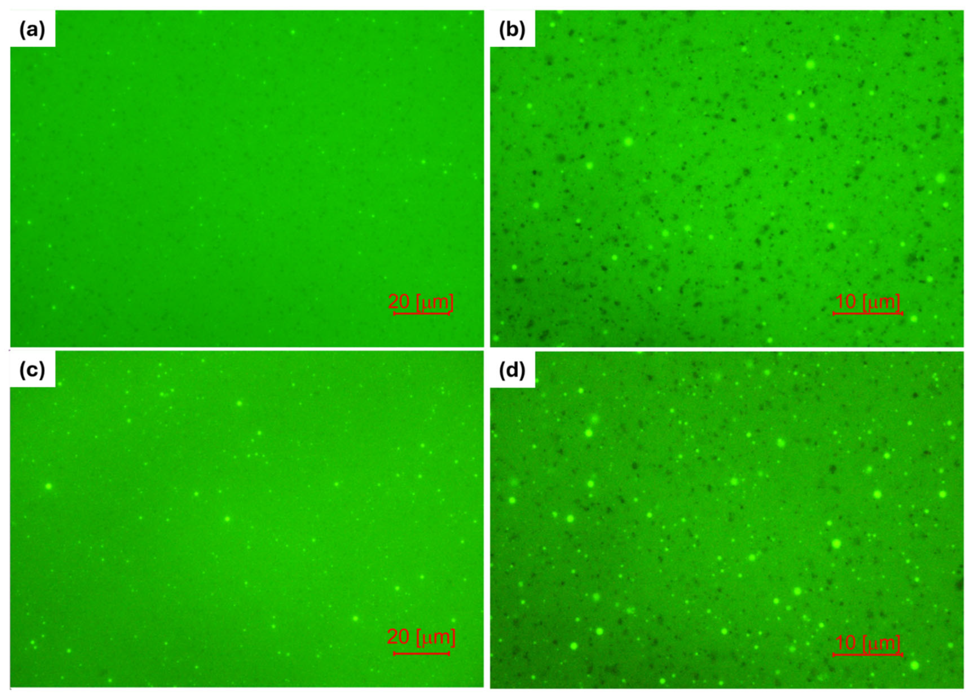 Materials 18 04825 g010