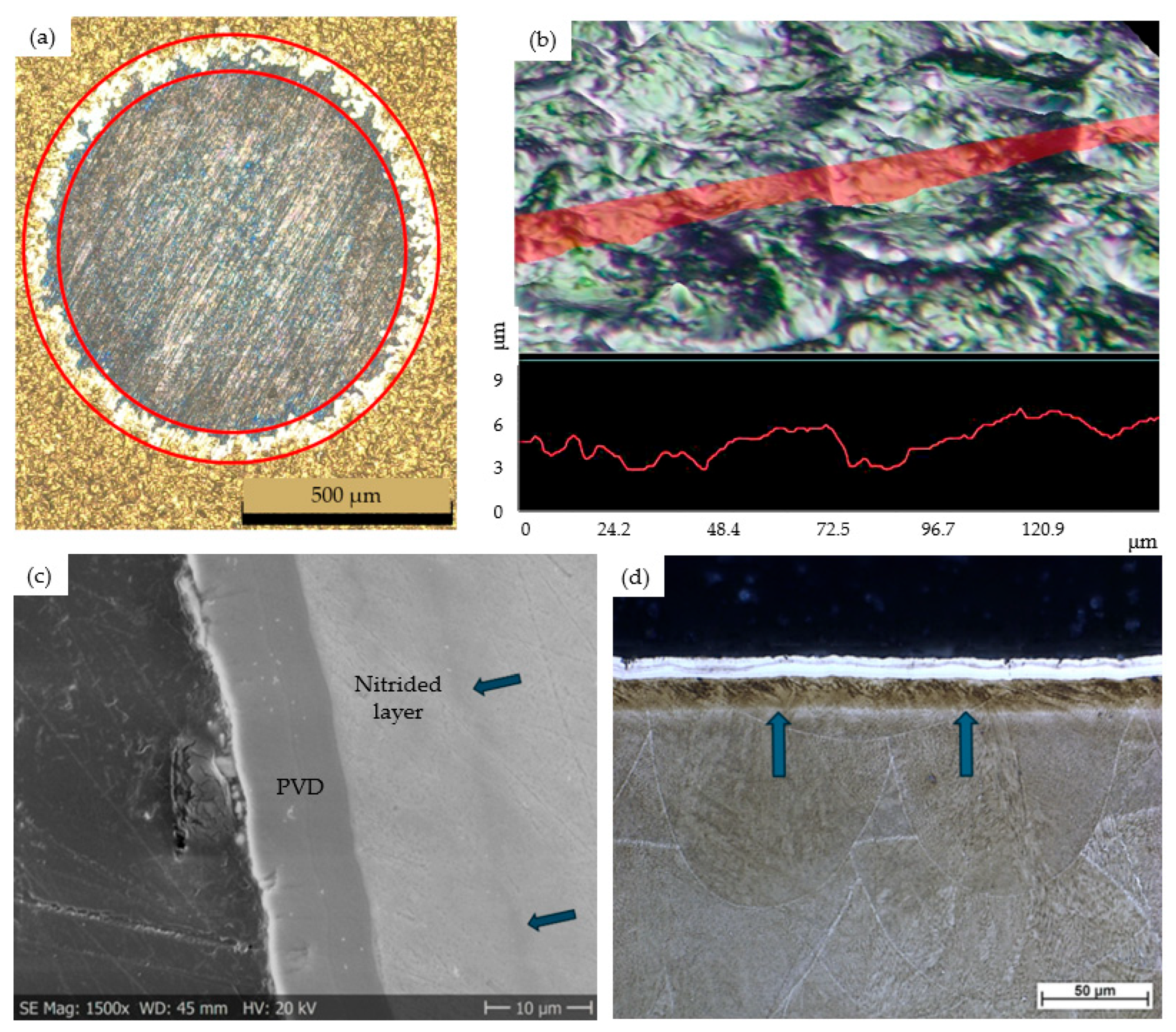 Materials 18 04830 g006
