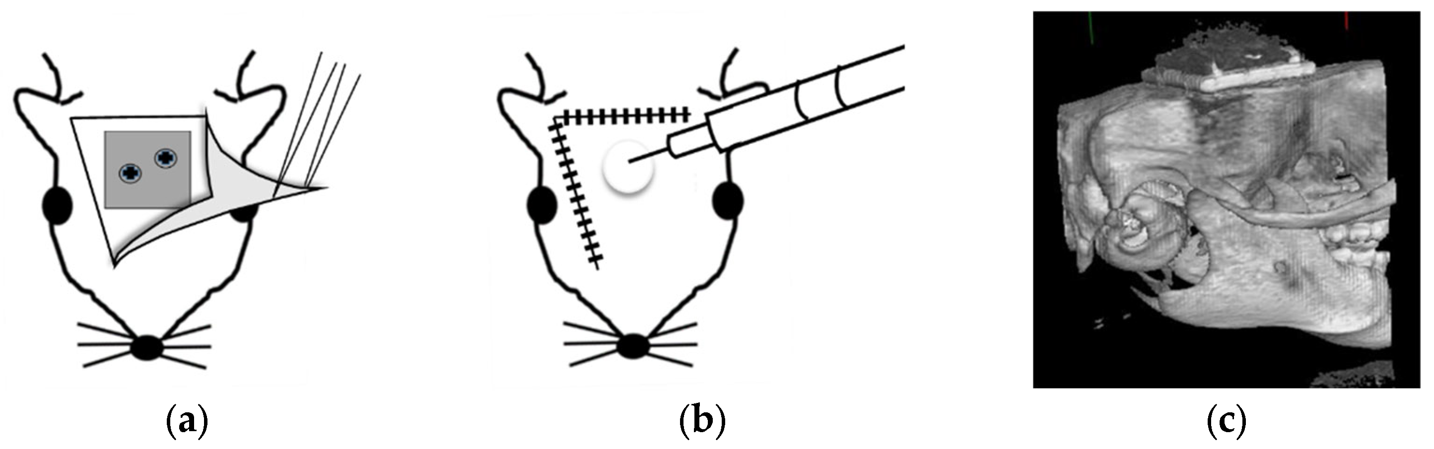 Materials 18 04836 g003