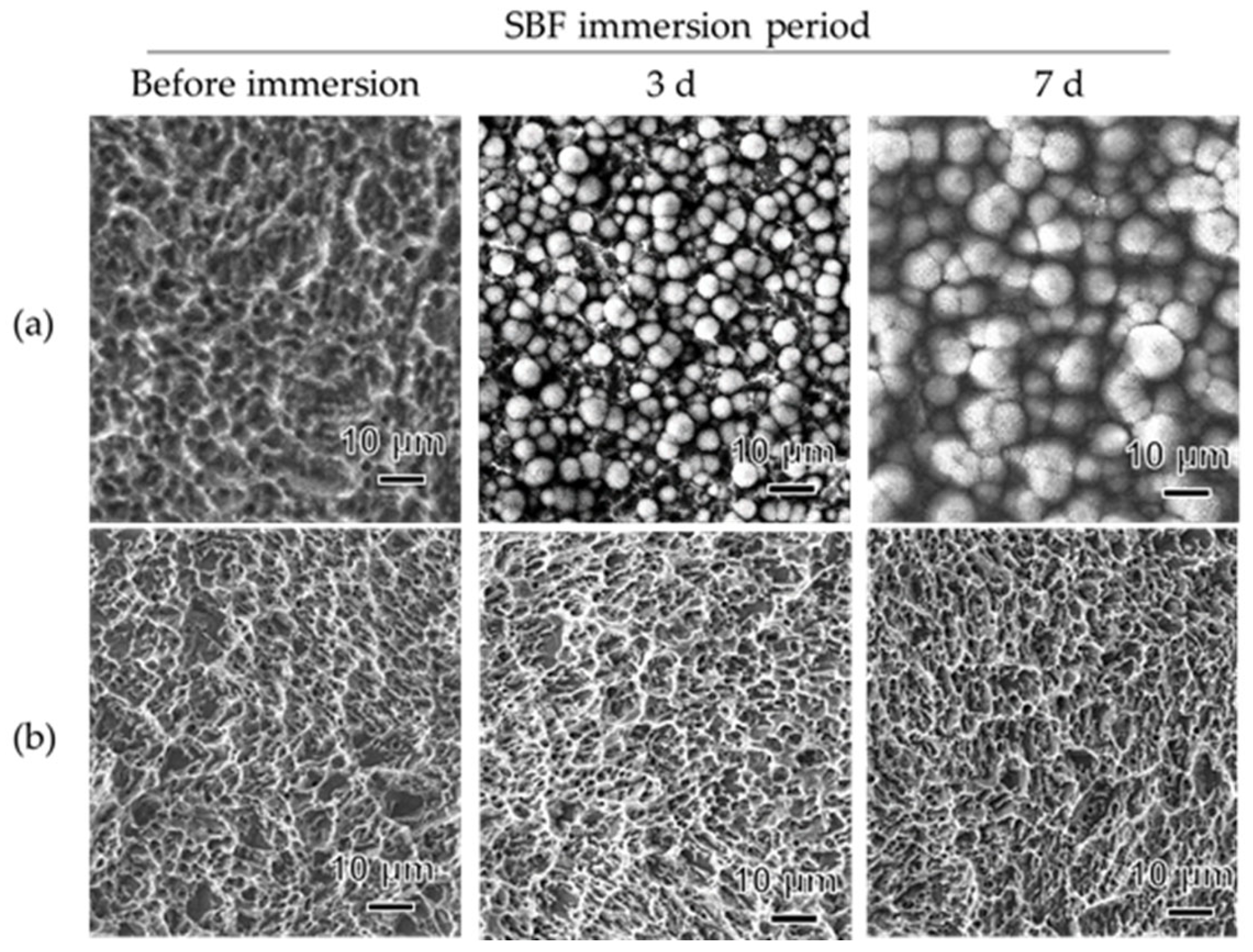 Materials 18 04836 g004