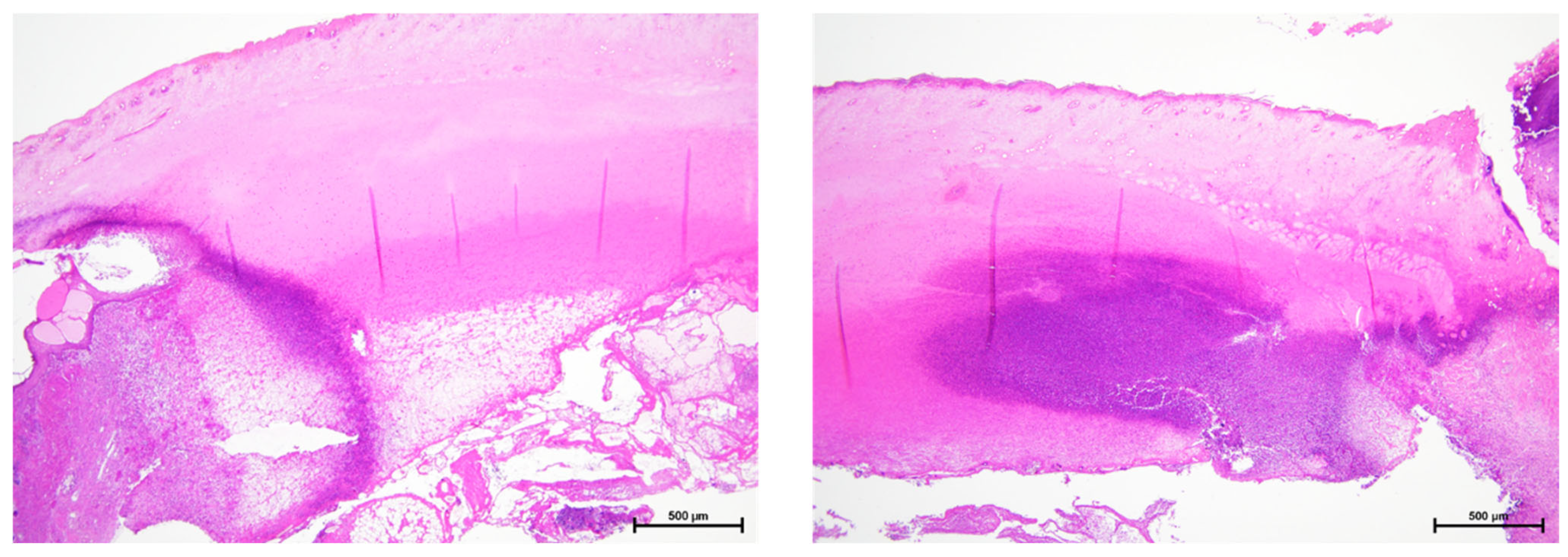 Materials 18 04836 g013