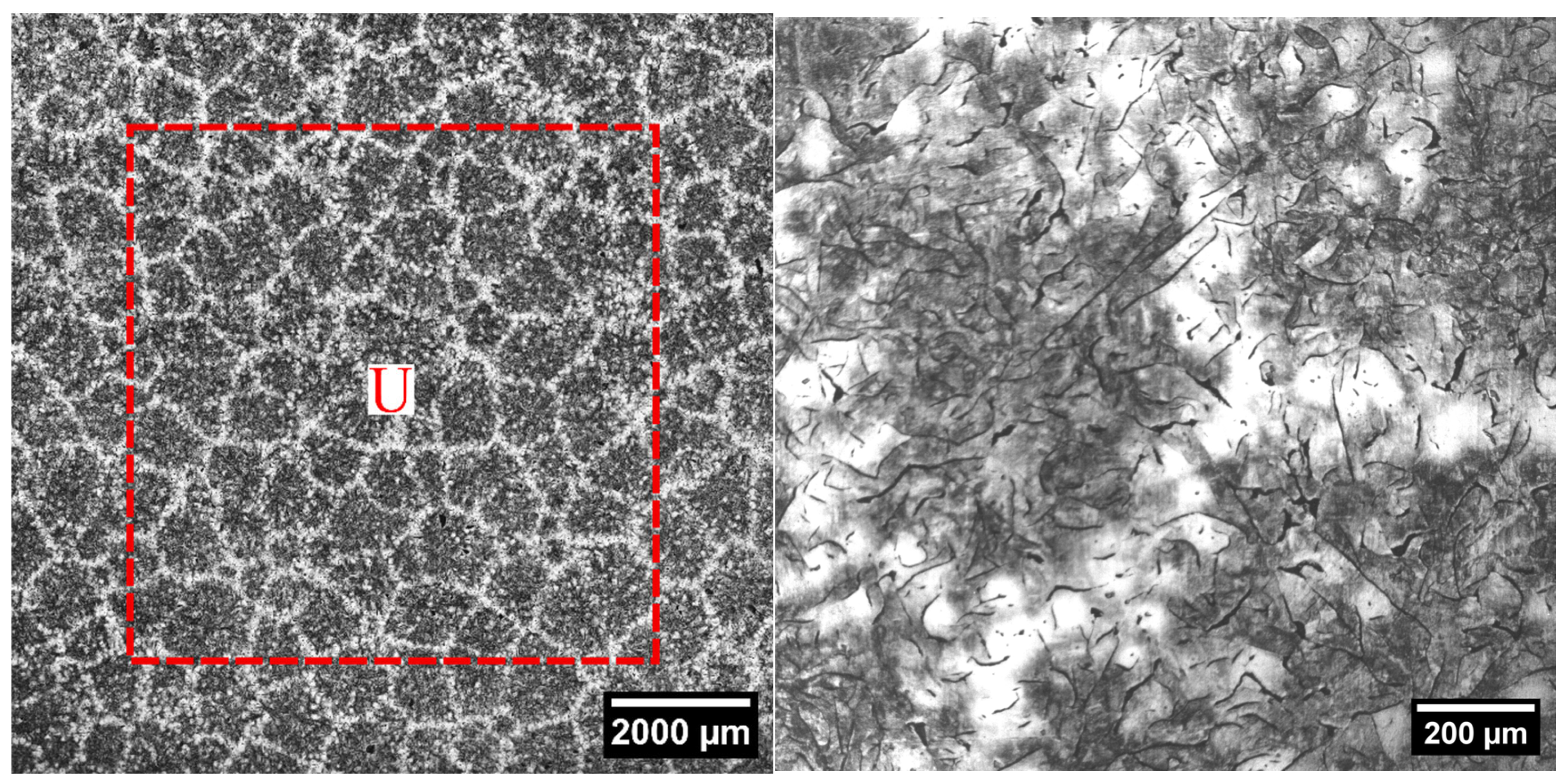 Materials 18 04837 g004 Materials 18 04837 g004