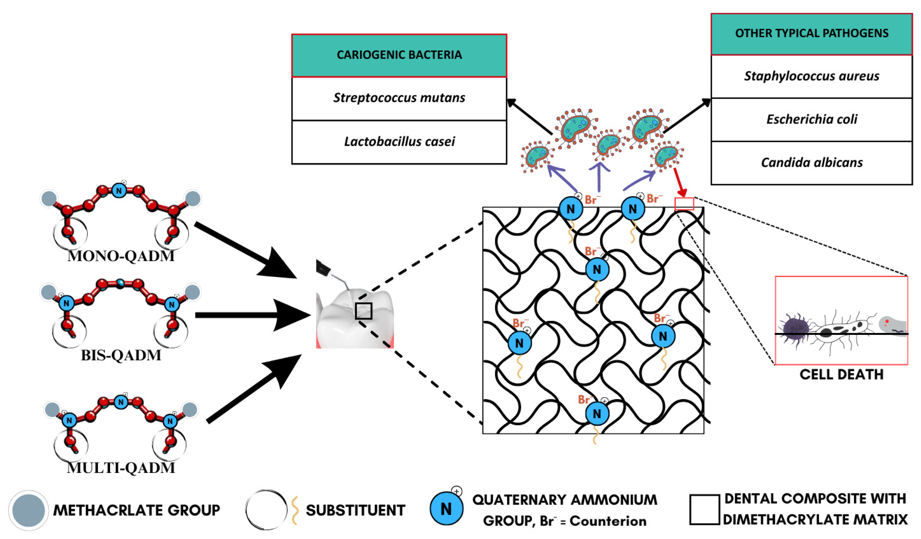 Materials 18 04844 g003