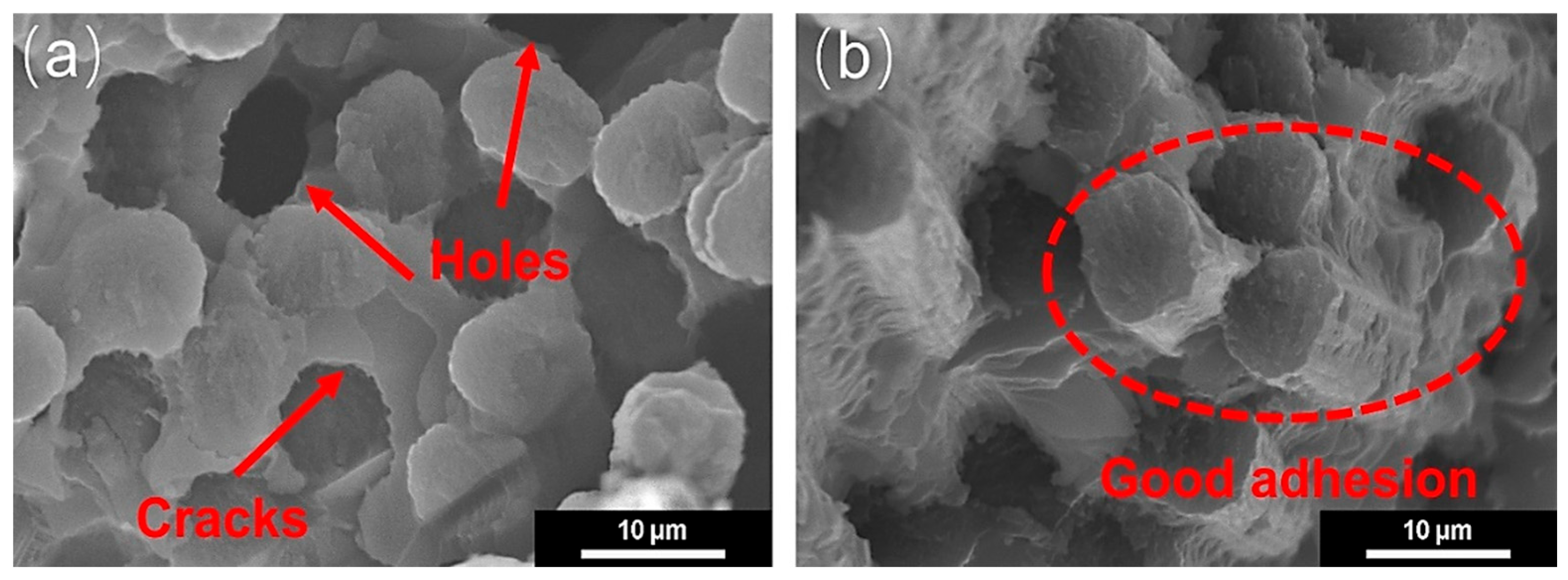 Materials 18 04856 g007