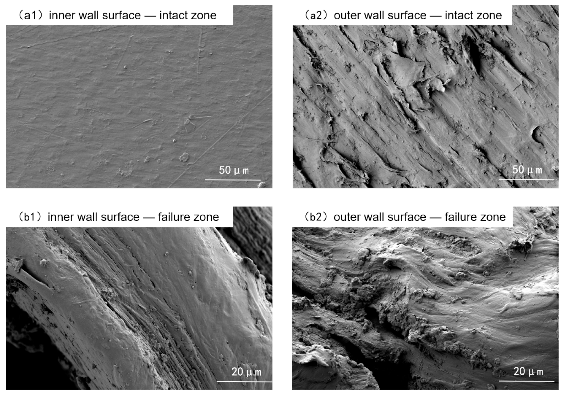 Materials 18 04865 g003