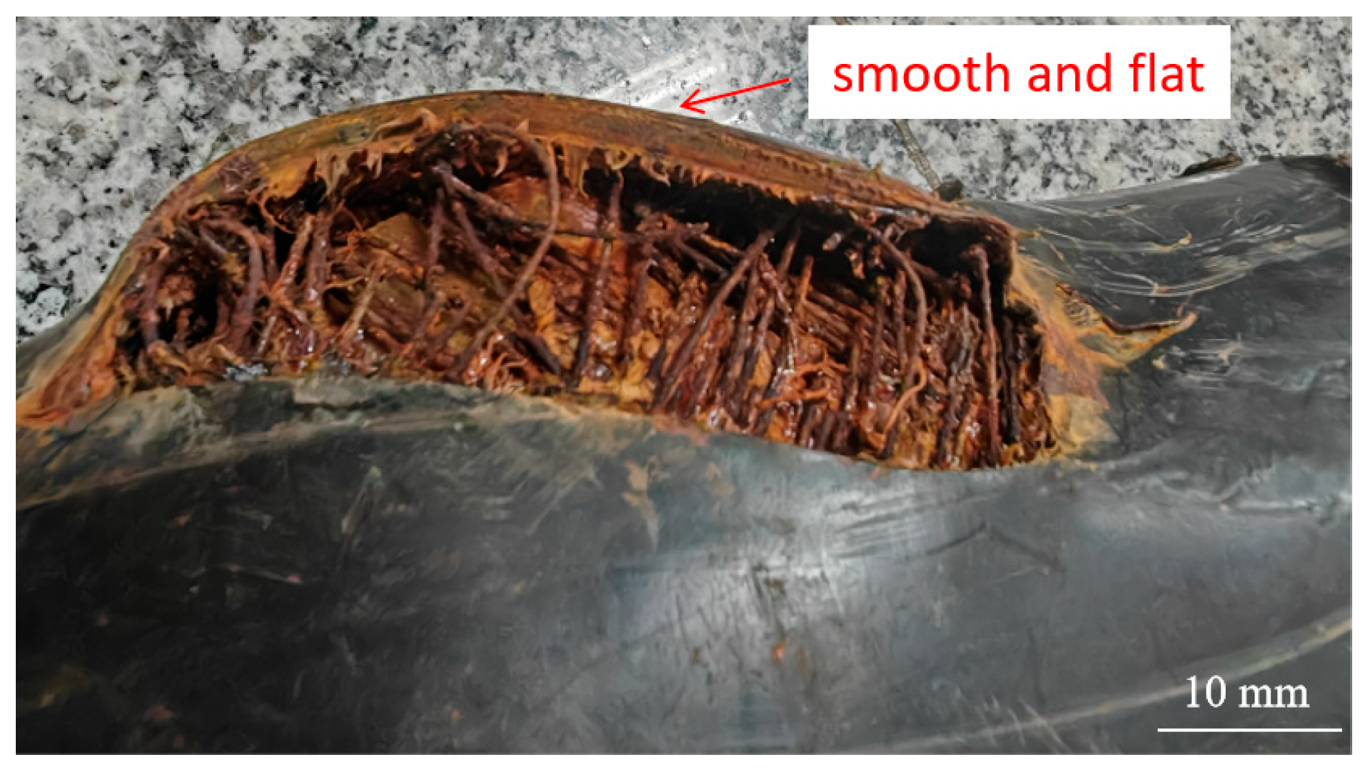 Materials 18 04865 g008