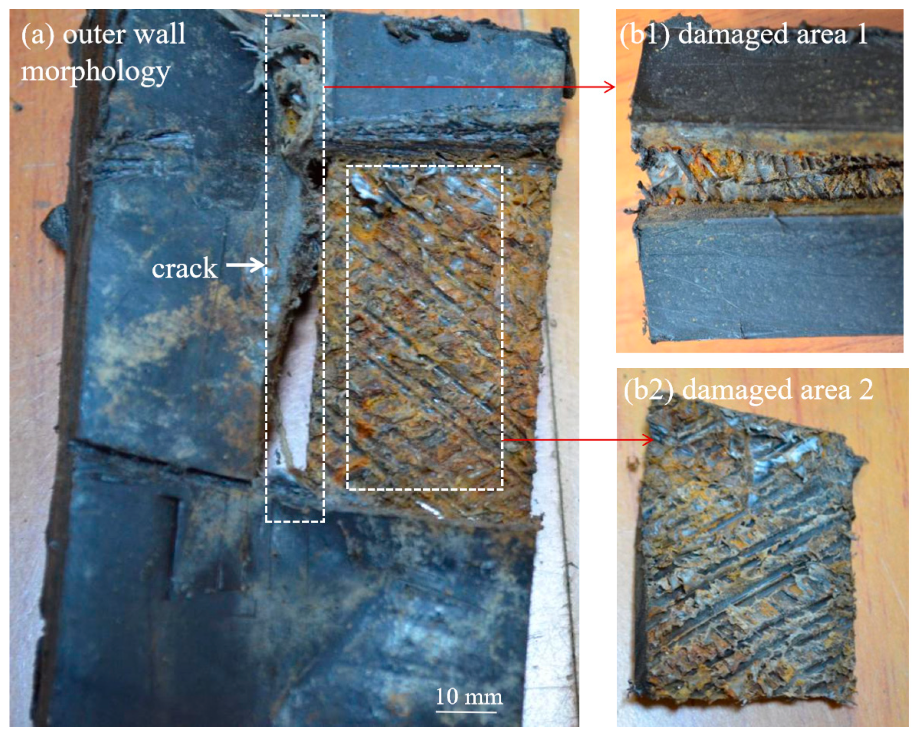 Materials 18 04865 g010