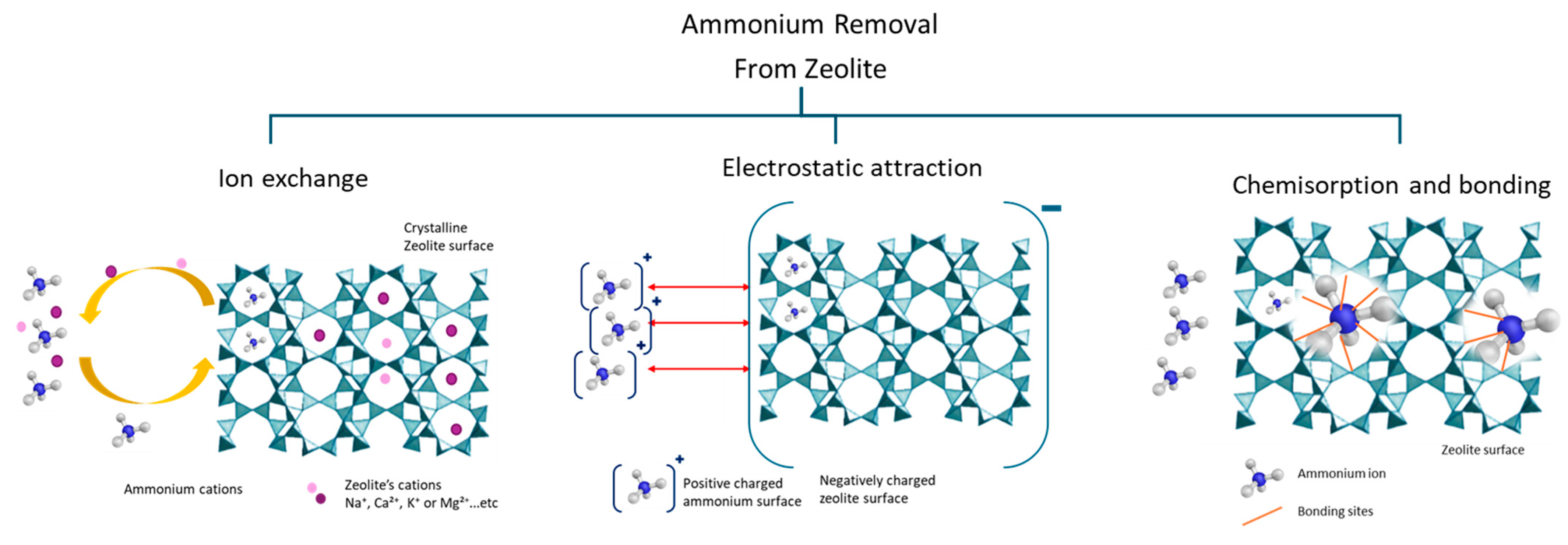 Materials 18 04870 g004