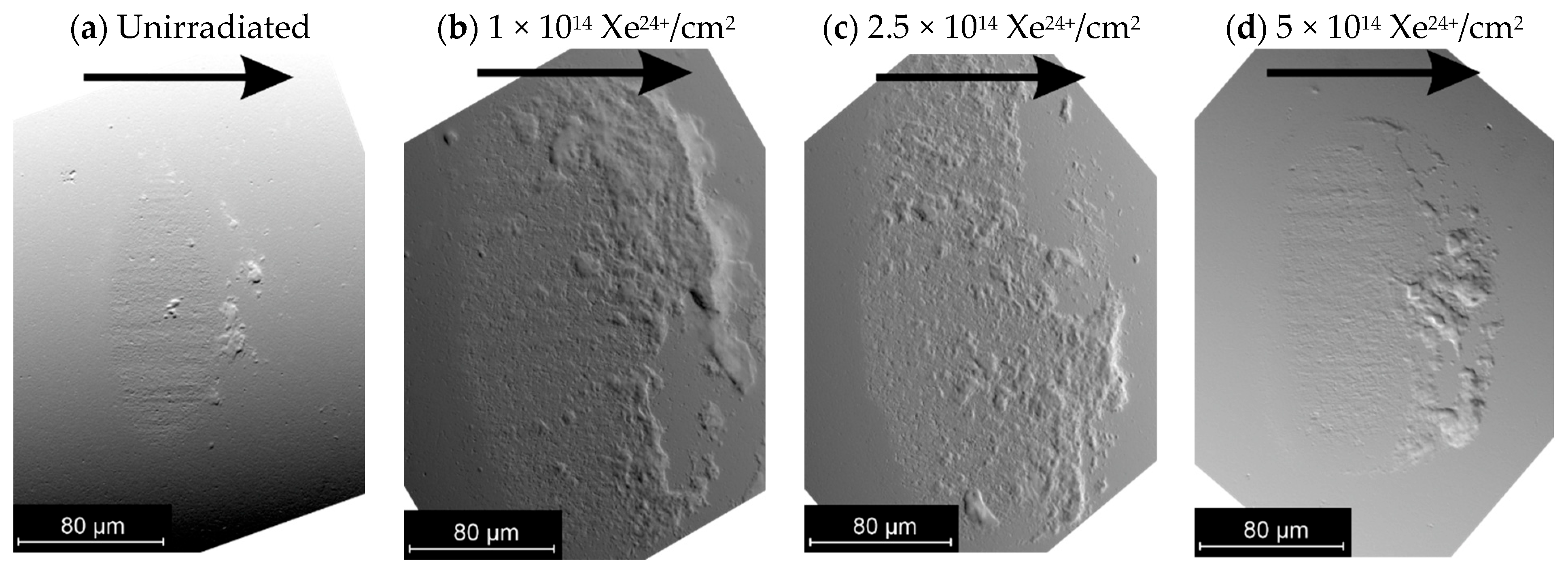 Materials 18 04876 g007