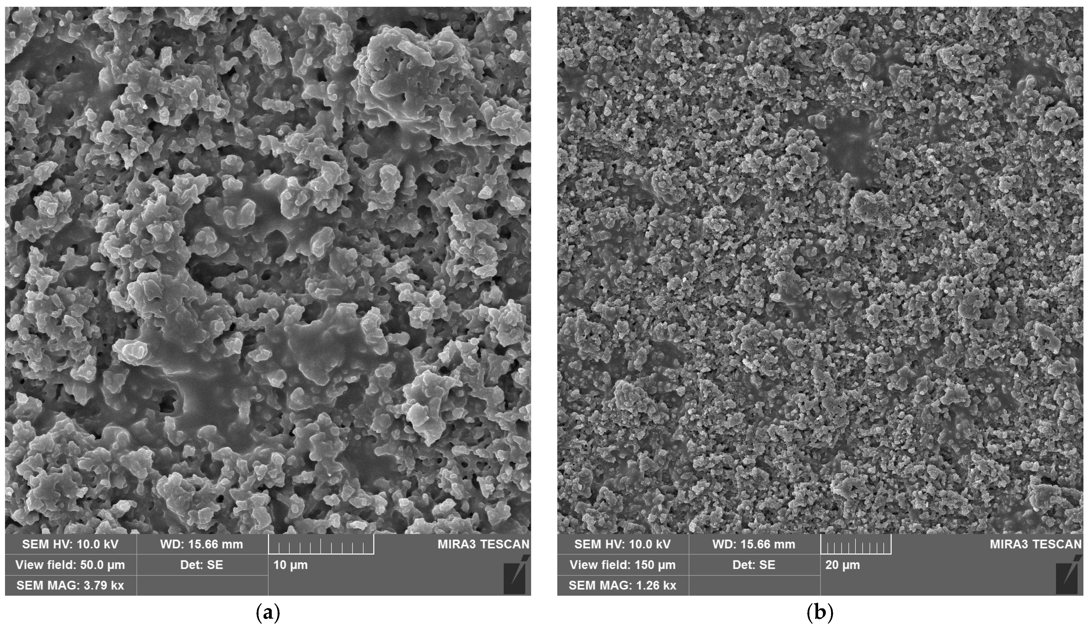 Materials 18 04879 g009a Materials 18 04879 g009a