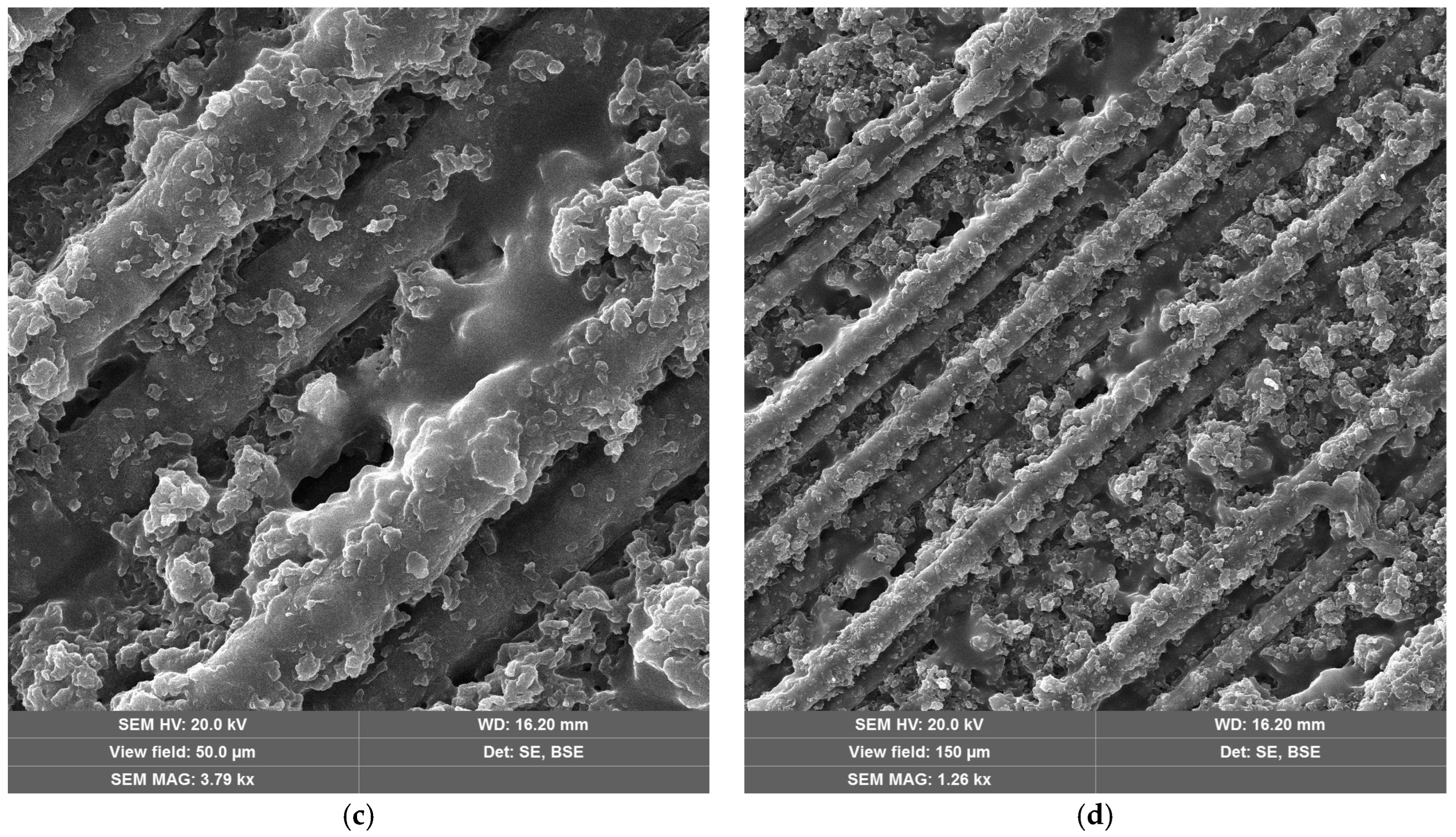 Materials 18 04879 g010b Materials 18 04879 g010b