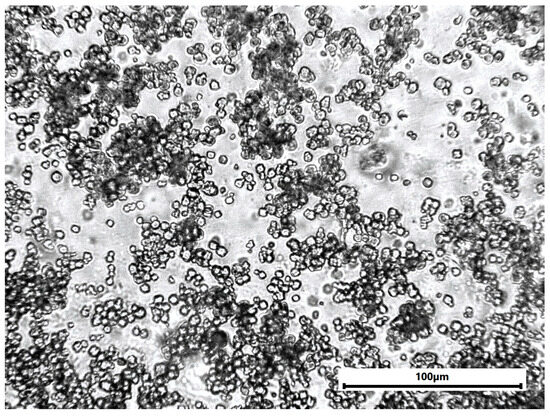 Materials 18 04879 g0a1