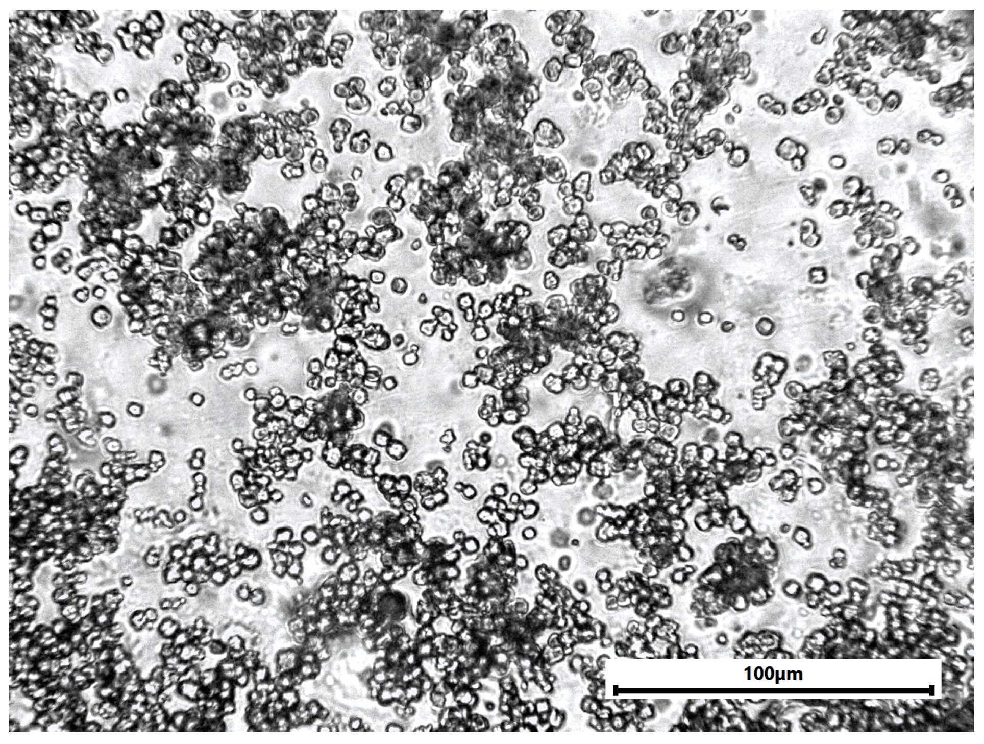 Materials 18 04879 g0a1 Materials 18 04879 g0a1