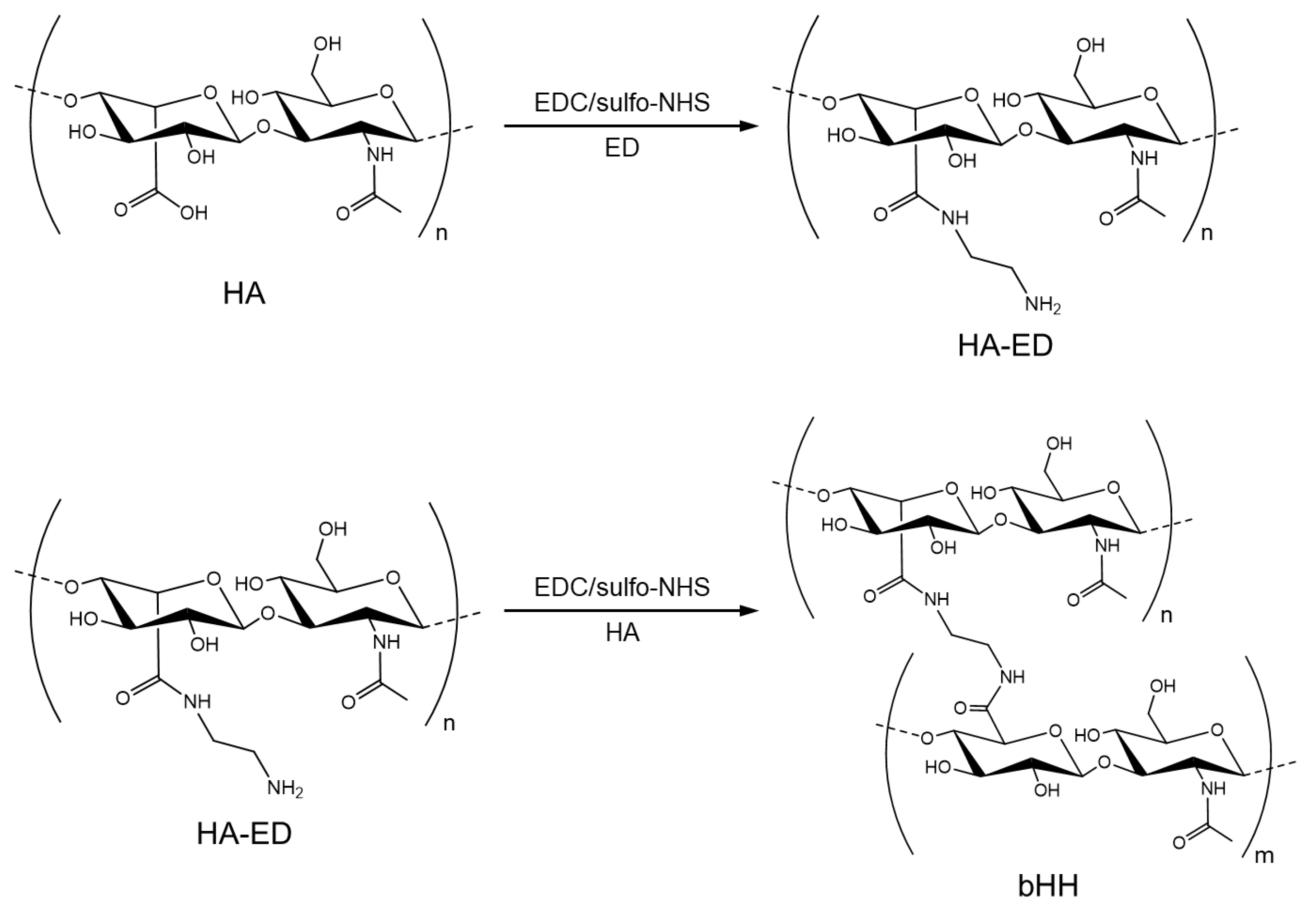 Materials 18 04882 g001