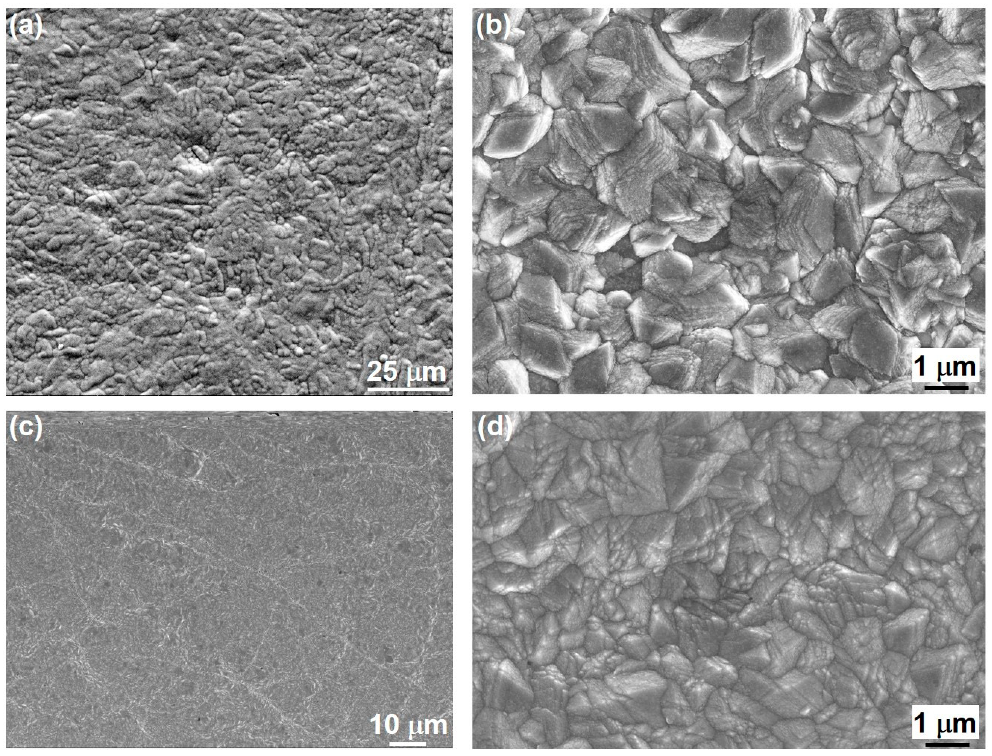 Materials 18 04883 g004