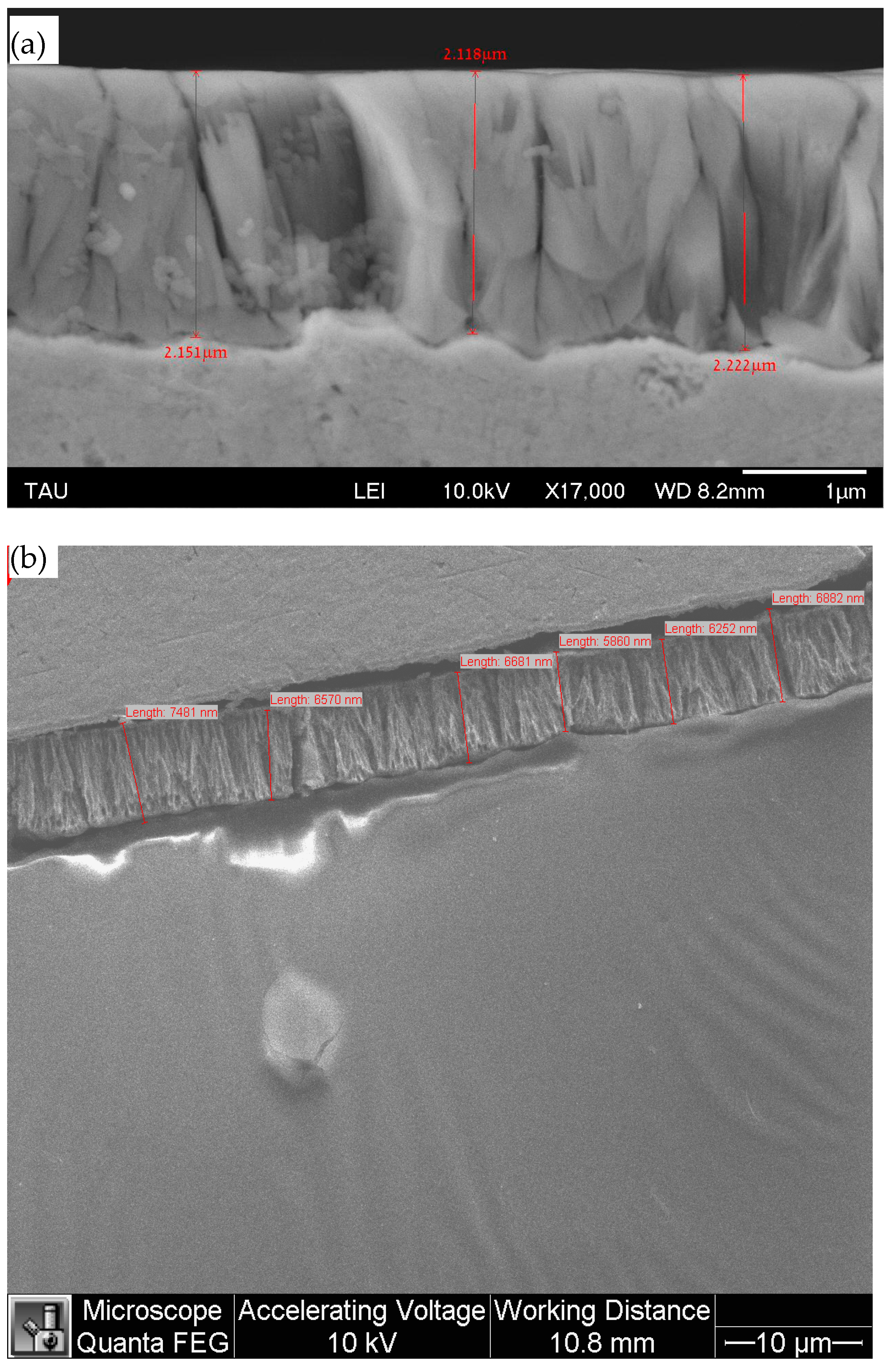 Materials 18 04883 g005