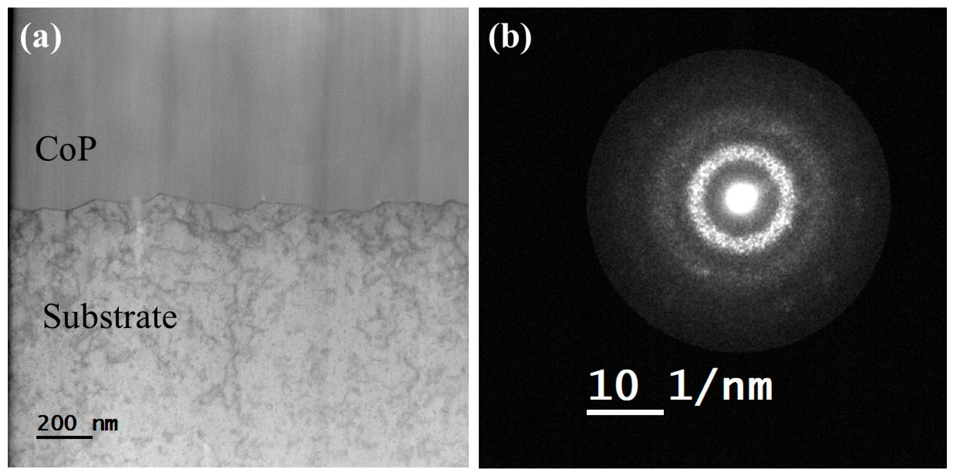 Materials 18 04883 g011