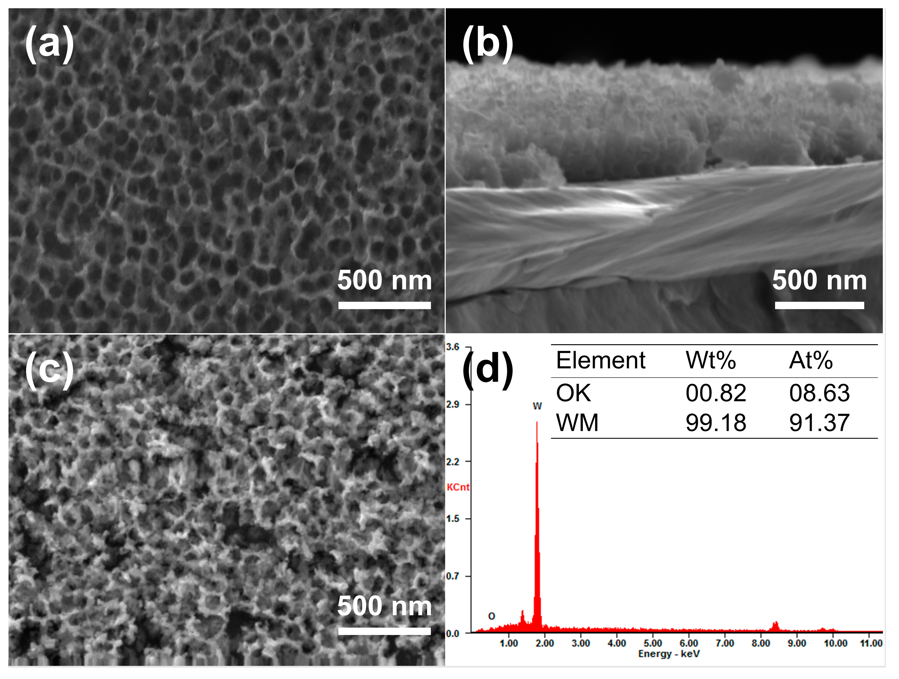 Materials 18 04895 g006