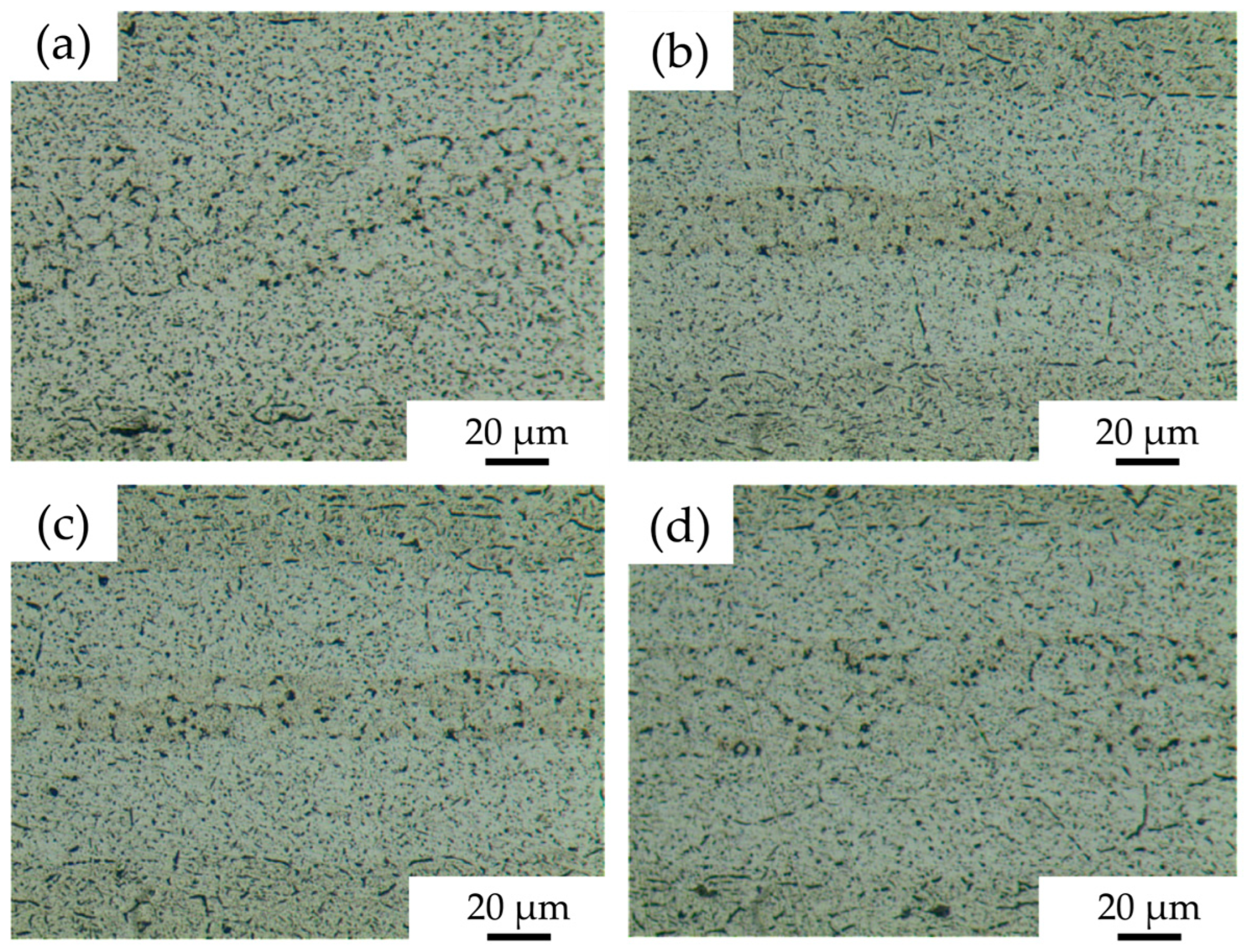 Materials 18 04907 g010