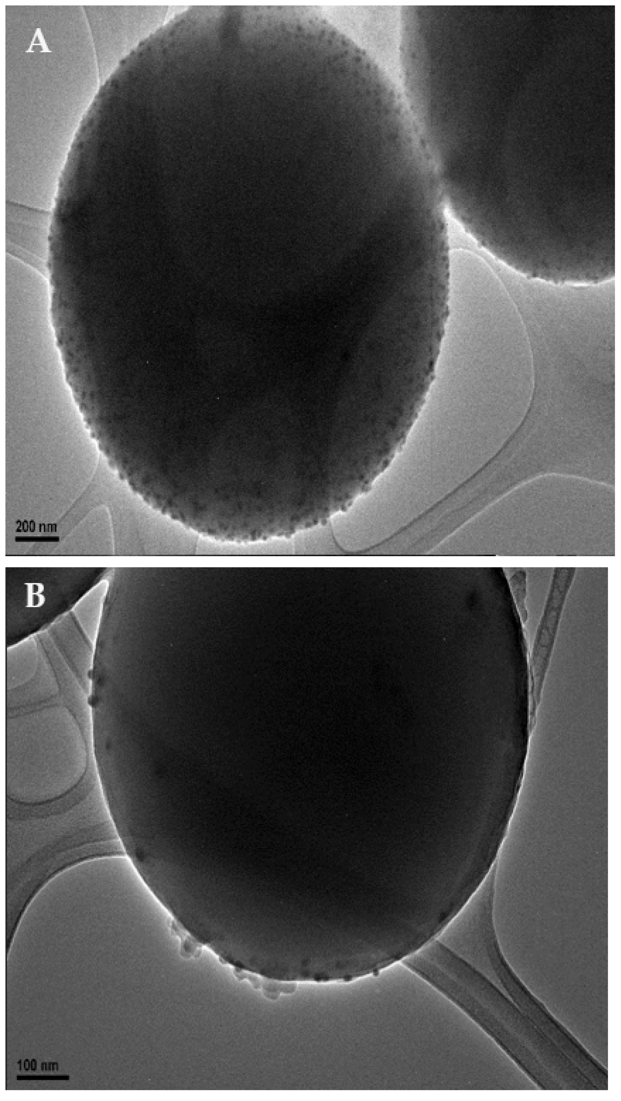 Materials 18 04912 g001a Materials 18 04912 g001a