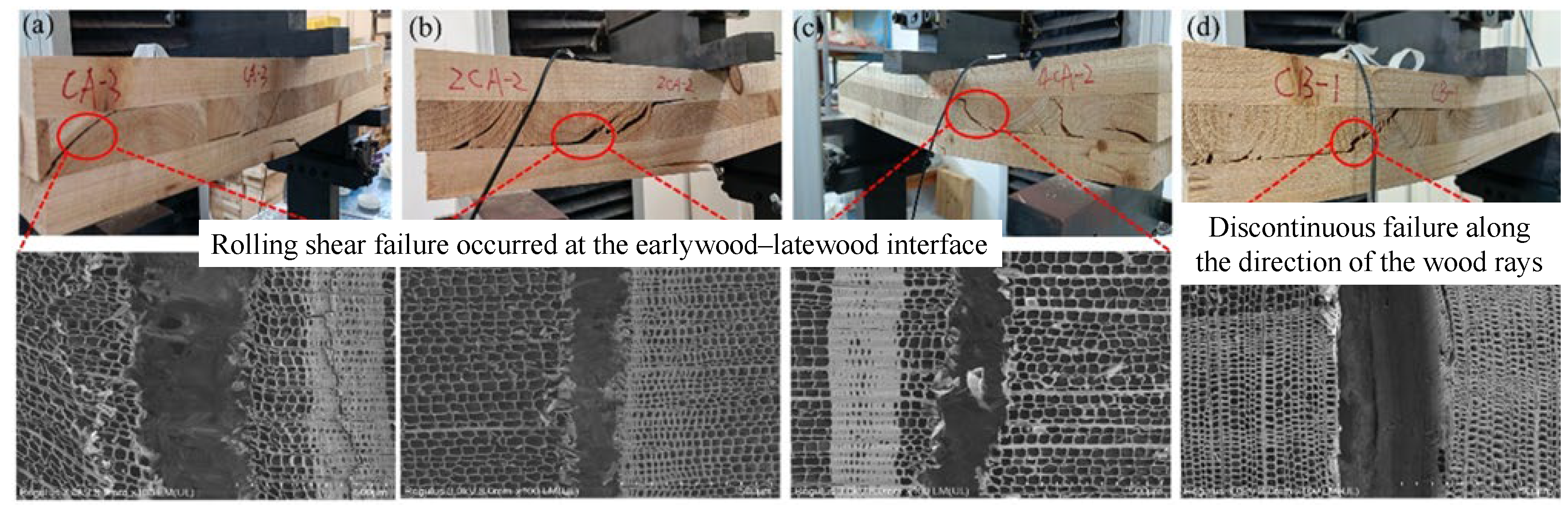 Materials 18 04913 g004
