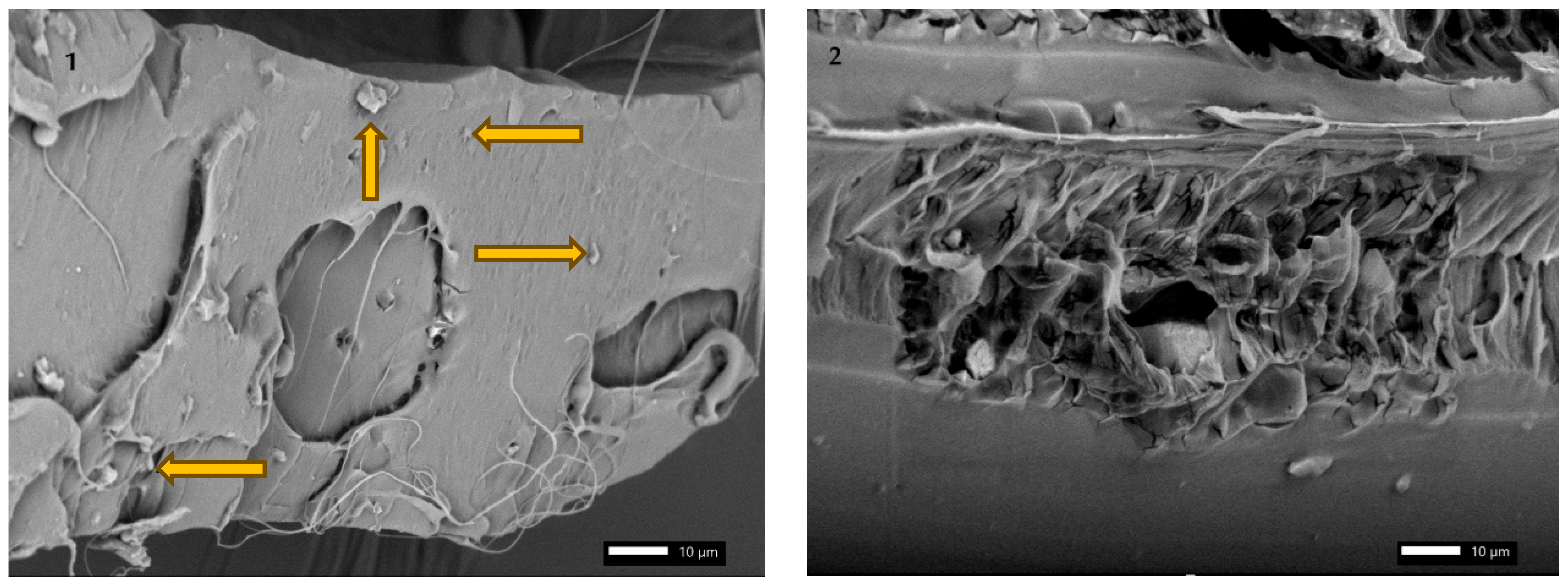 Materials 18 04918 g010 Materials 18 04918 g010