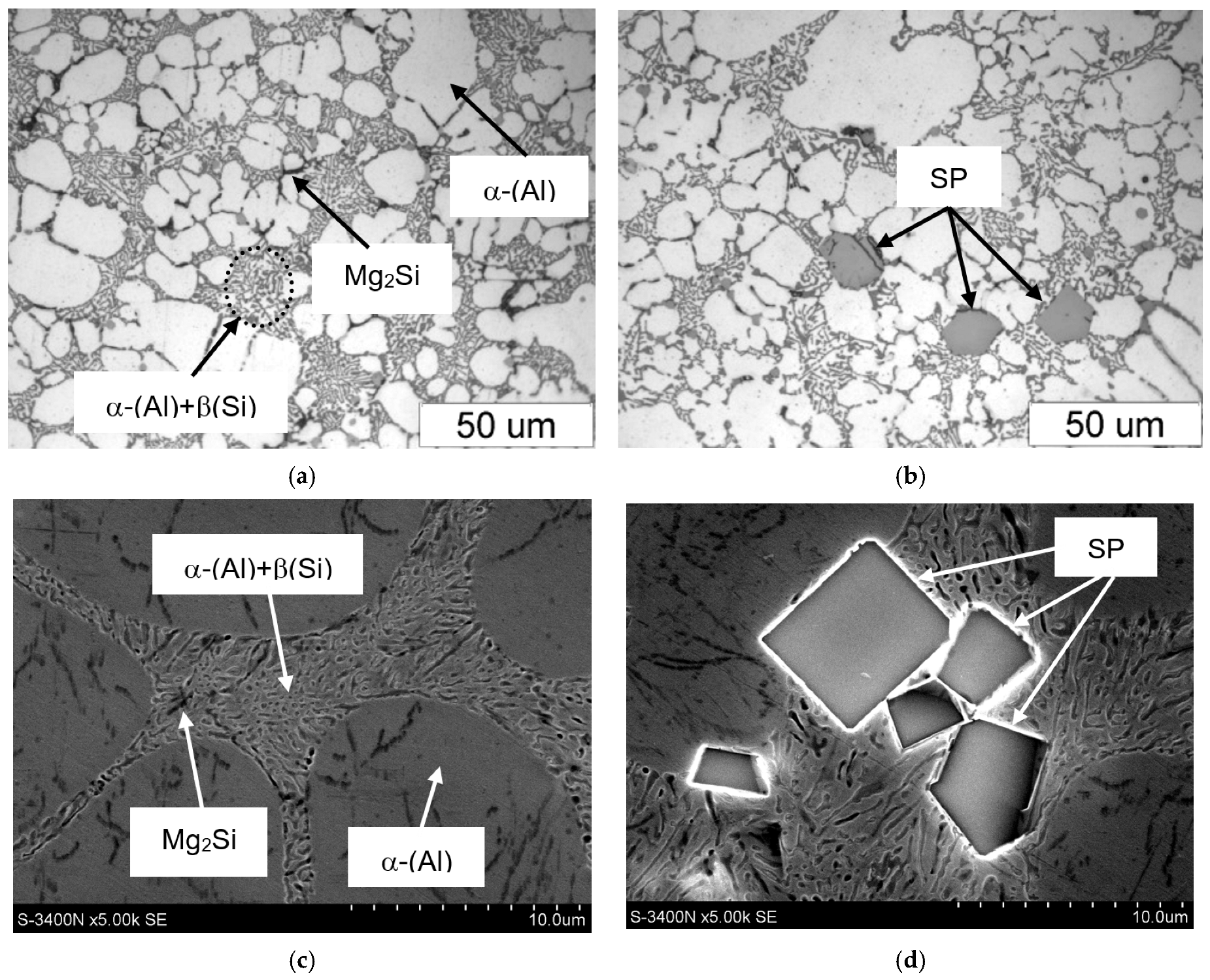 Materials 18 04921 g005