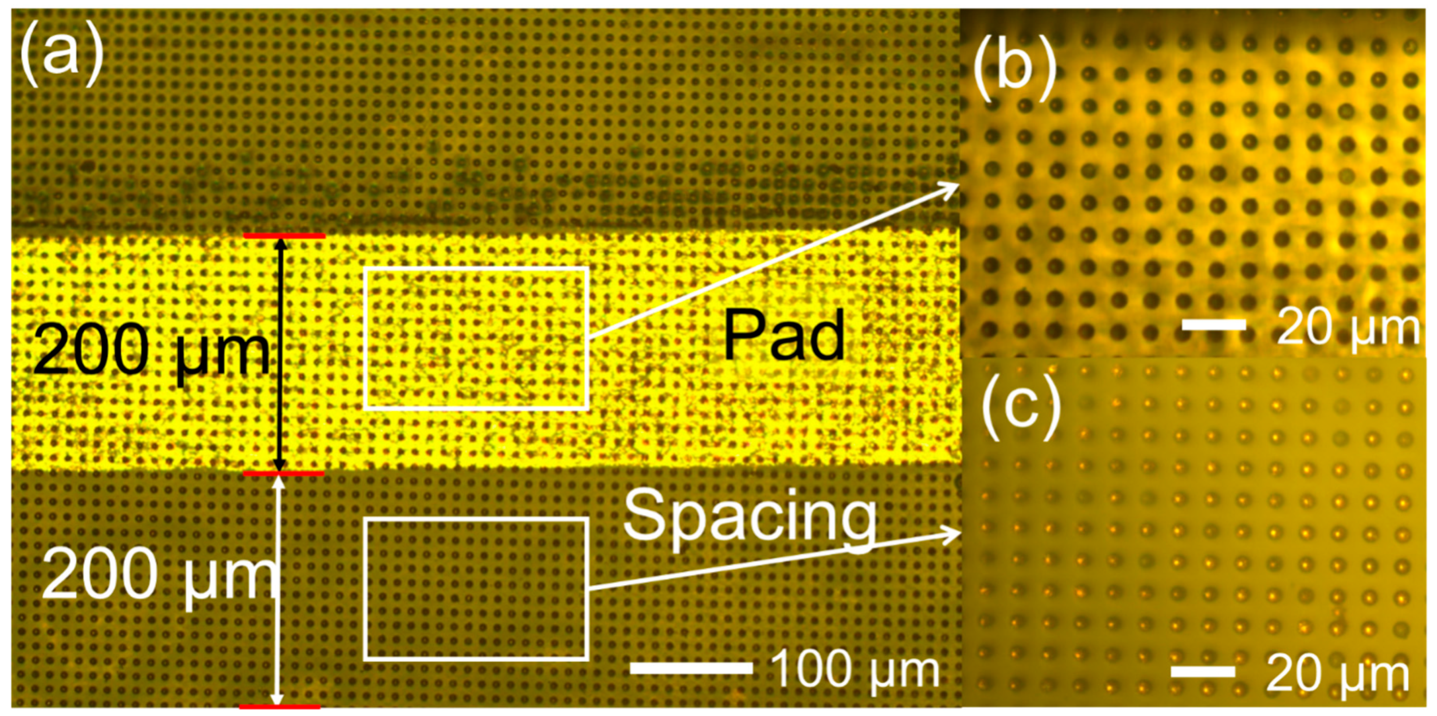 Materials 18 04927 g003 Materials 18 04927 g003