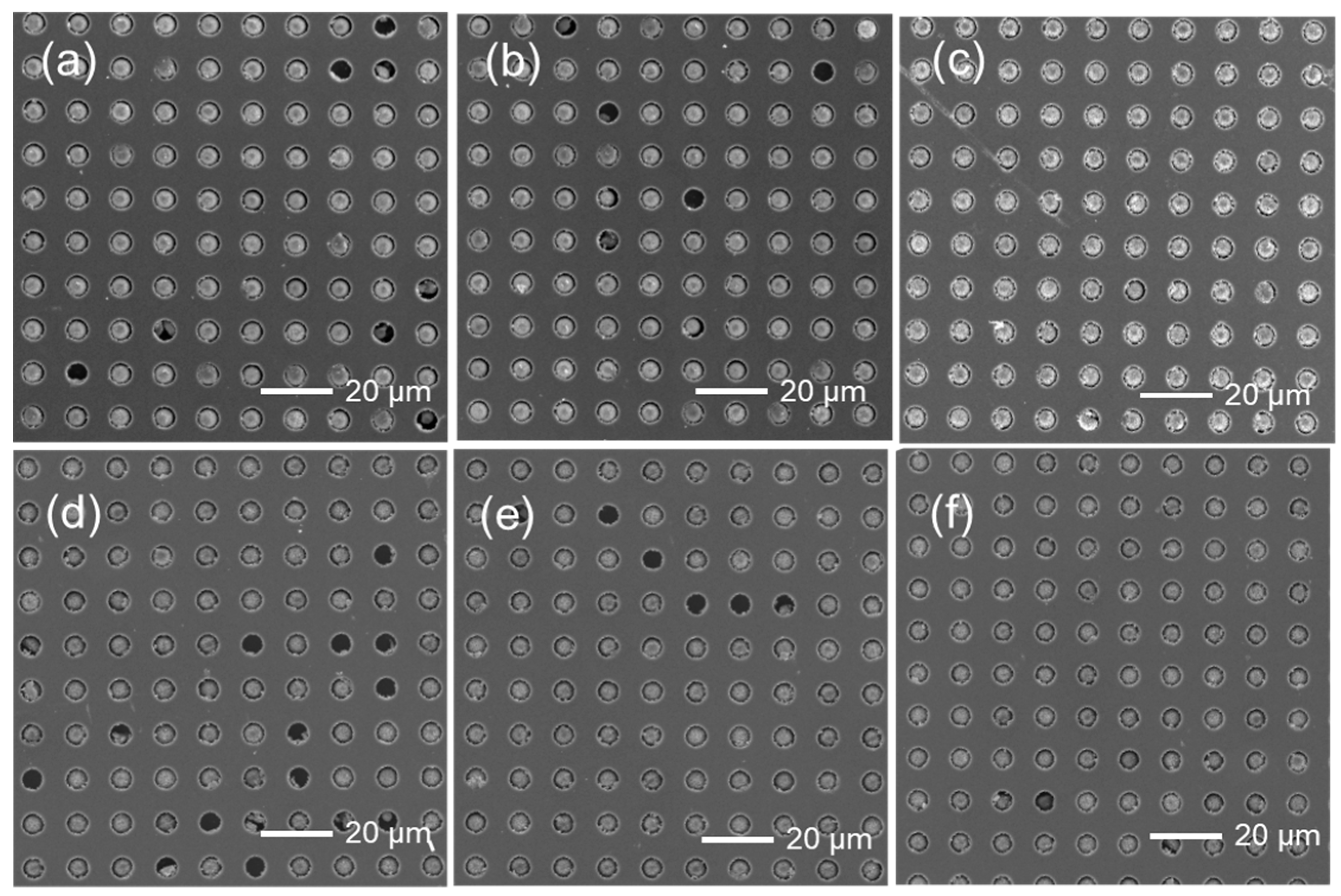 Materials 18 04927 g006 Materials 18 04927 g006