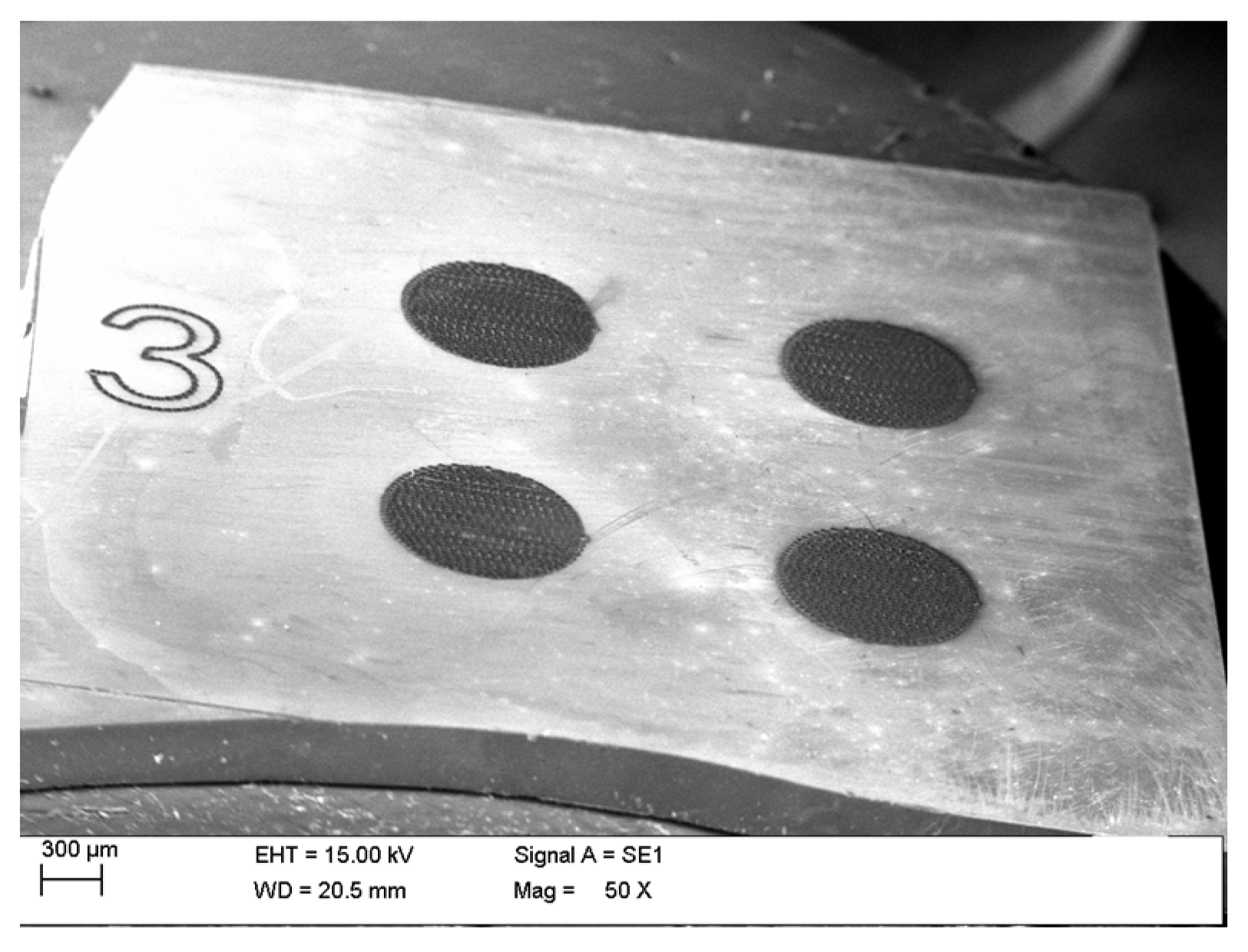 Materials 18 04946 g001