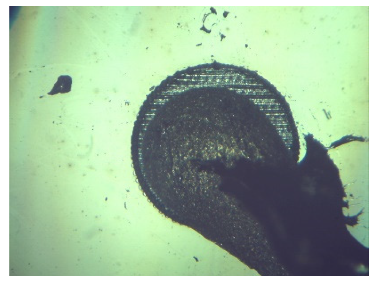 Materials 18 04946 g005