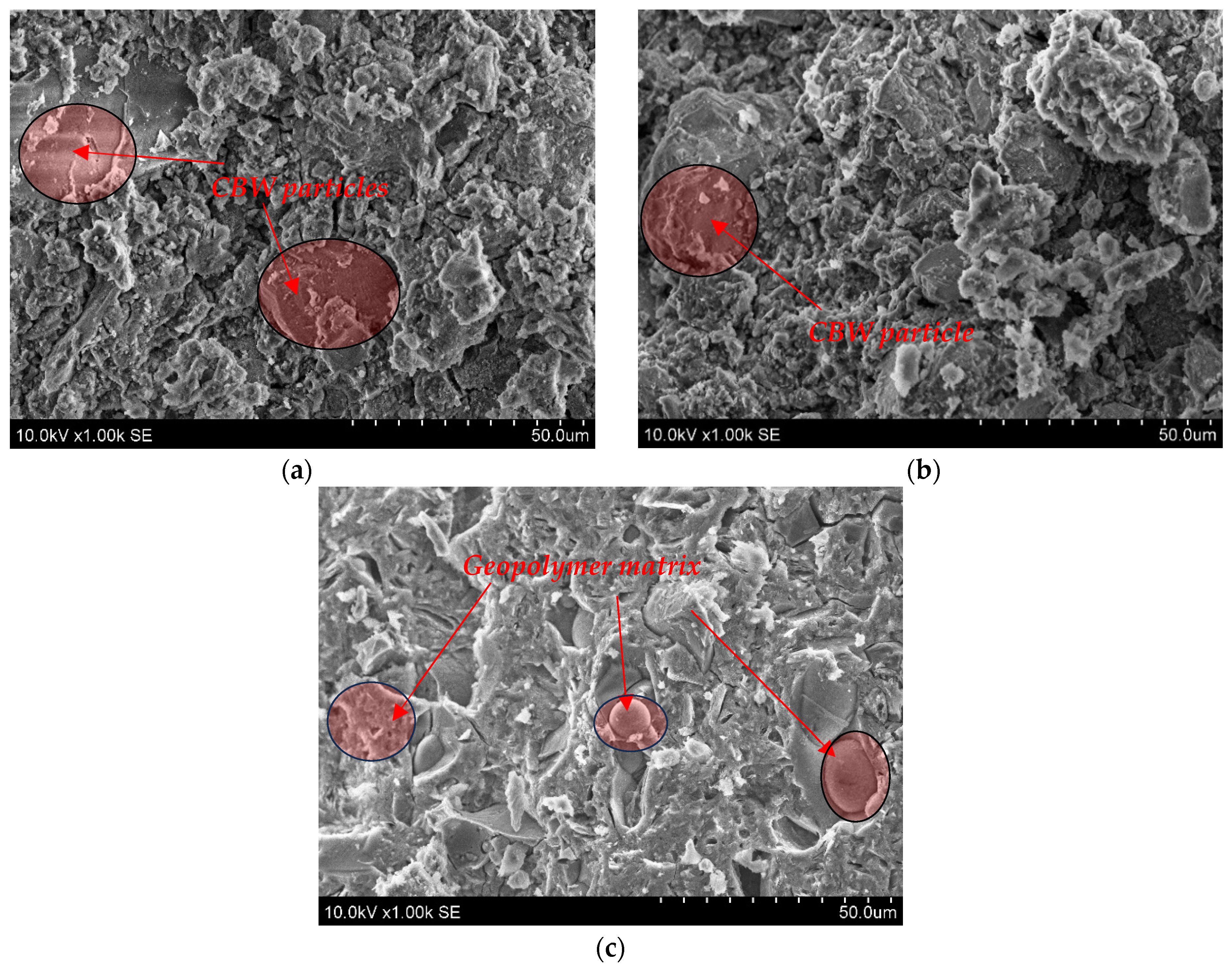 Materials 18 04947 g005 Materials 18 04947 g005