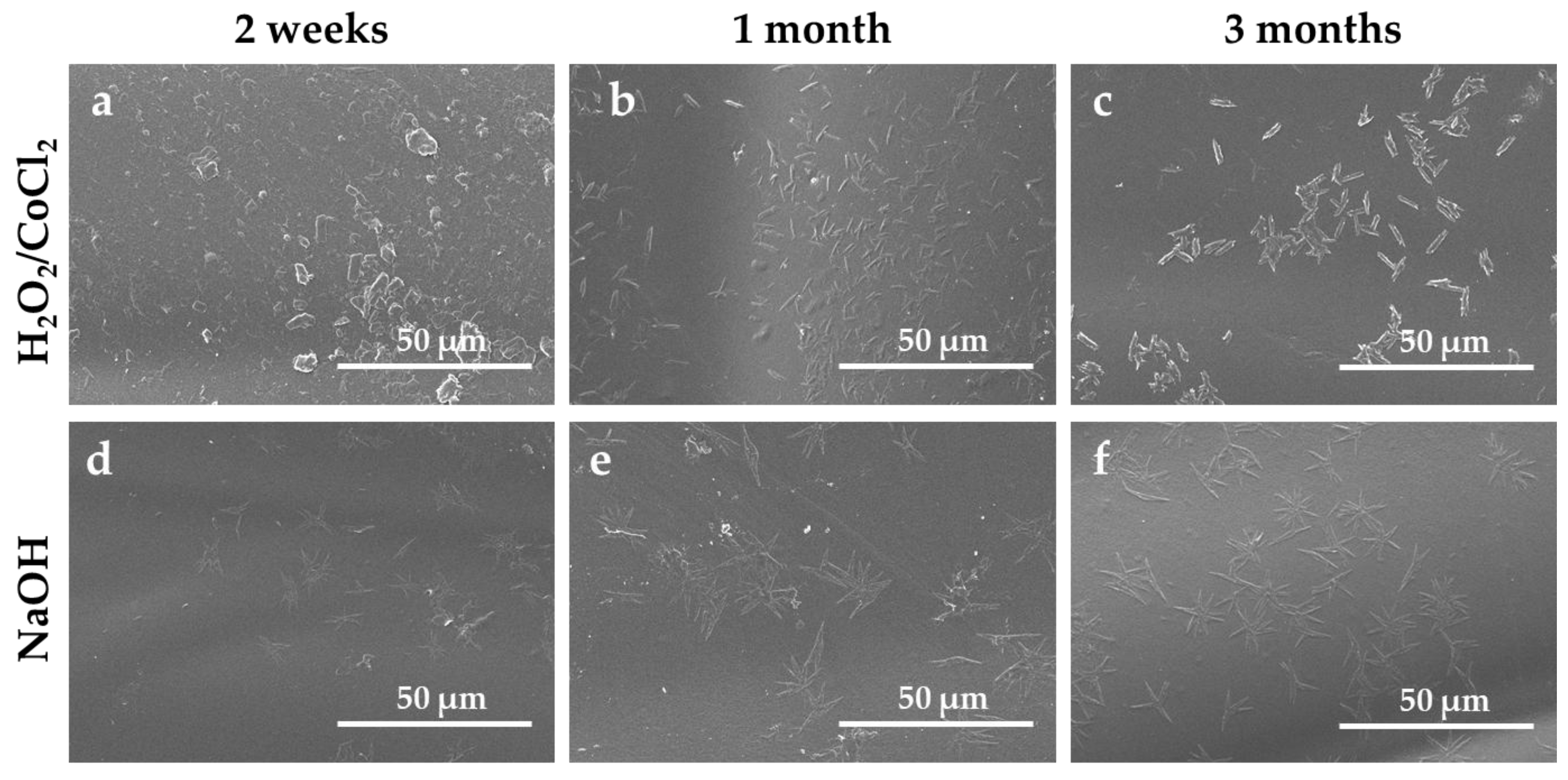 Materials 18 04948 g005 Materials 18 04948 g005