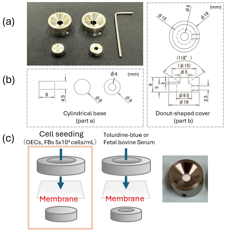 Materials 18 04956 g001 Materials 18 04956 g001