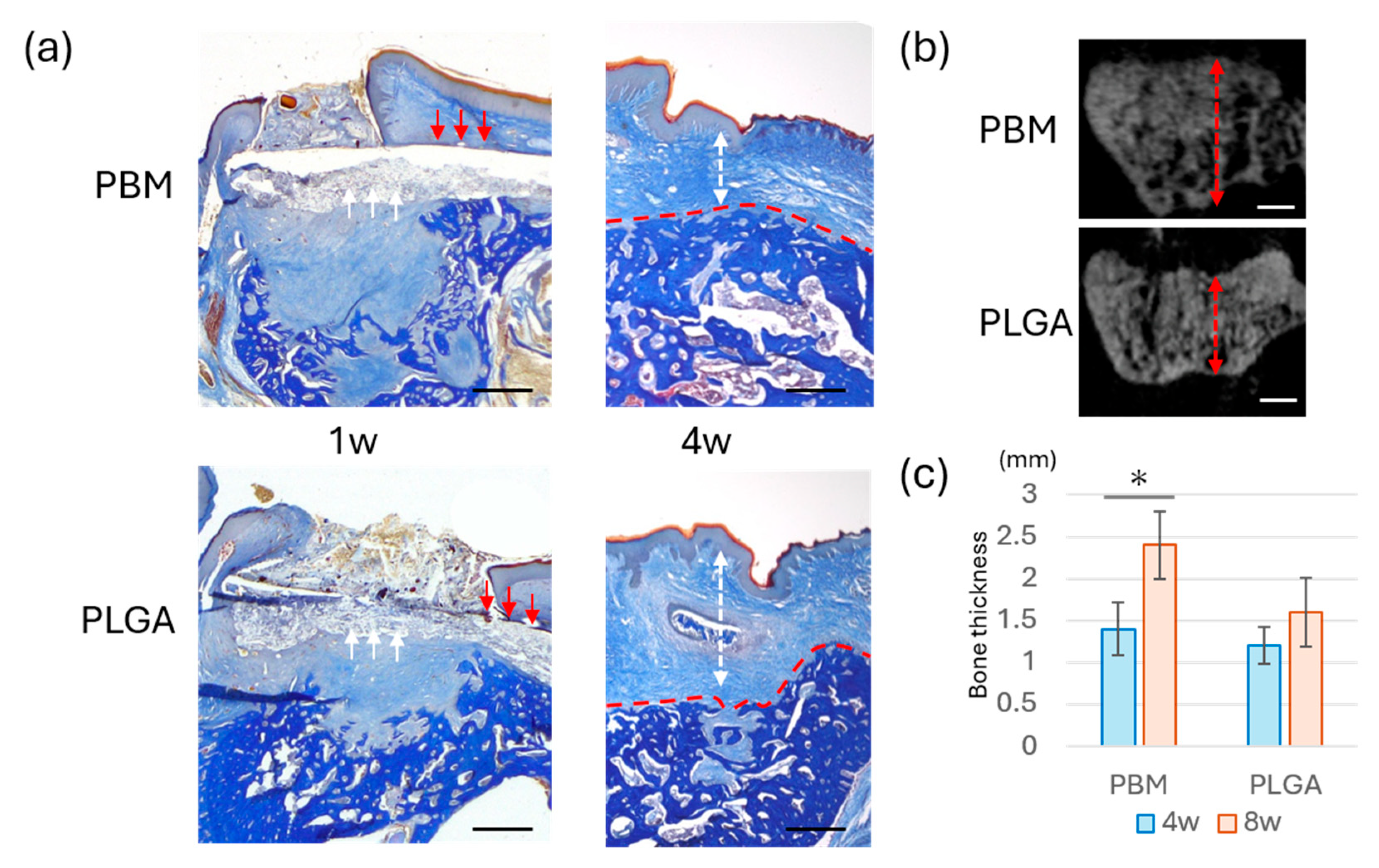 Materials 18 04956 g005 Materials 18 04956 g005