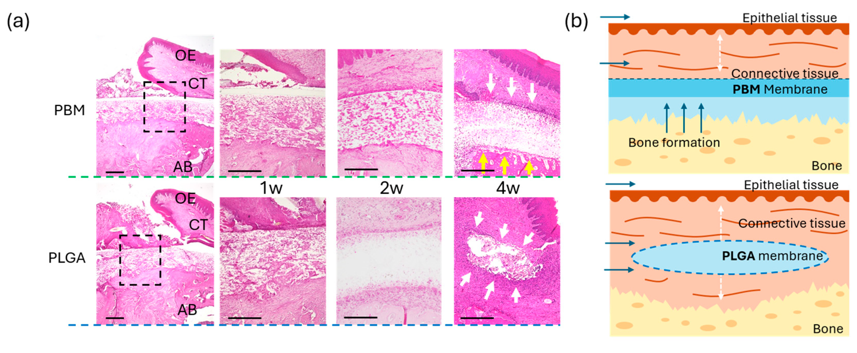 Materials 18 04956 g006 Materials 18 04956 g006
