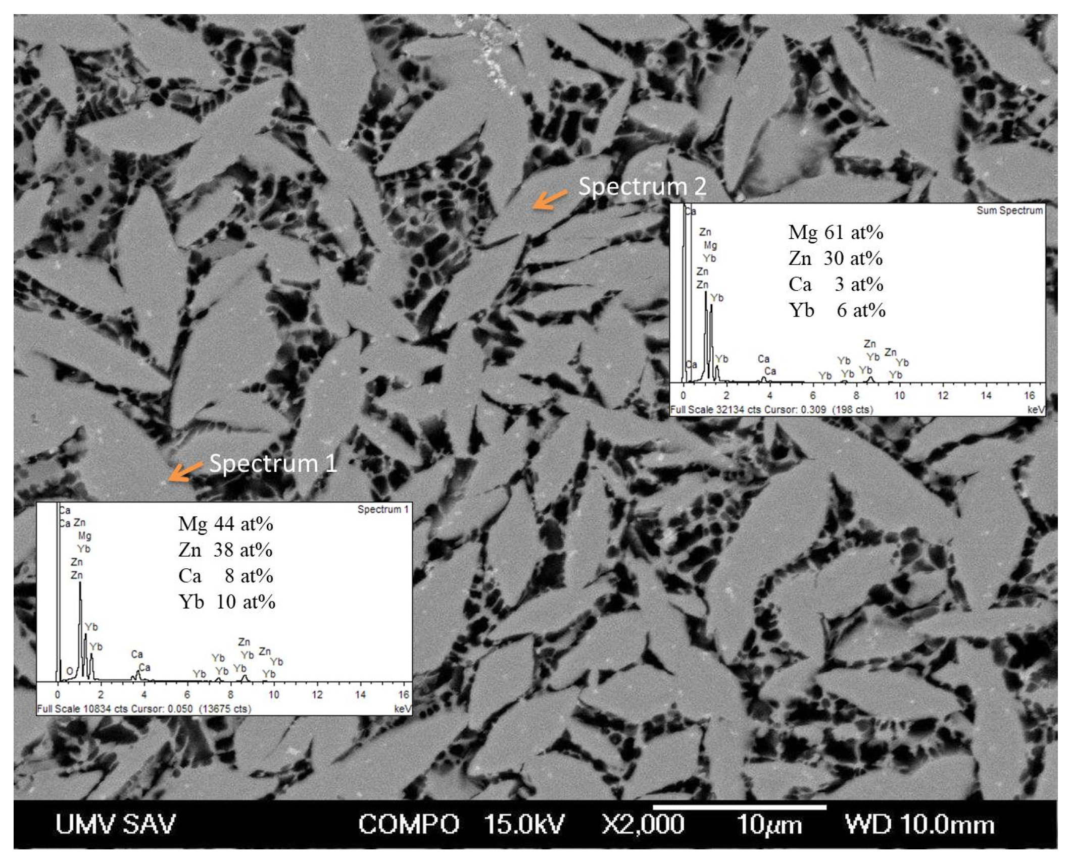 Materials 18 04959 g002