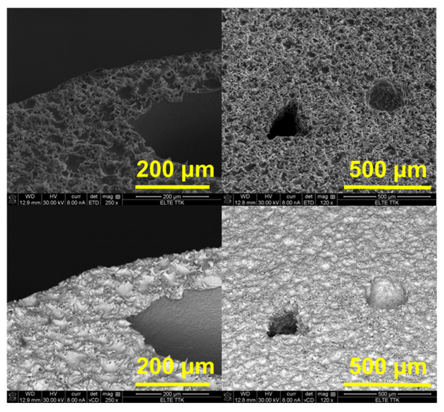 Materials 18 04959 g004