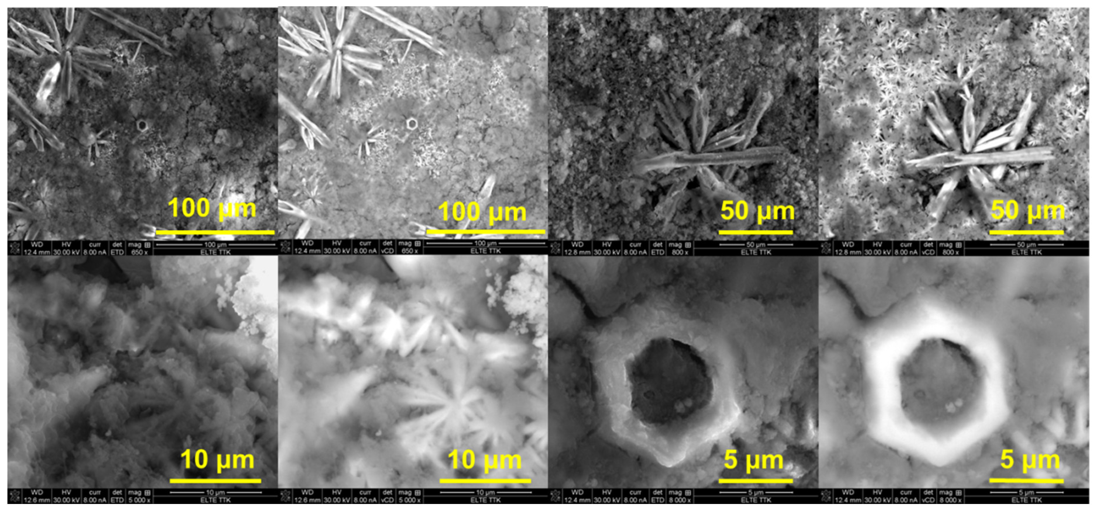 Materials 18 04959 g005