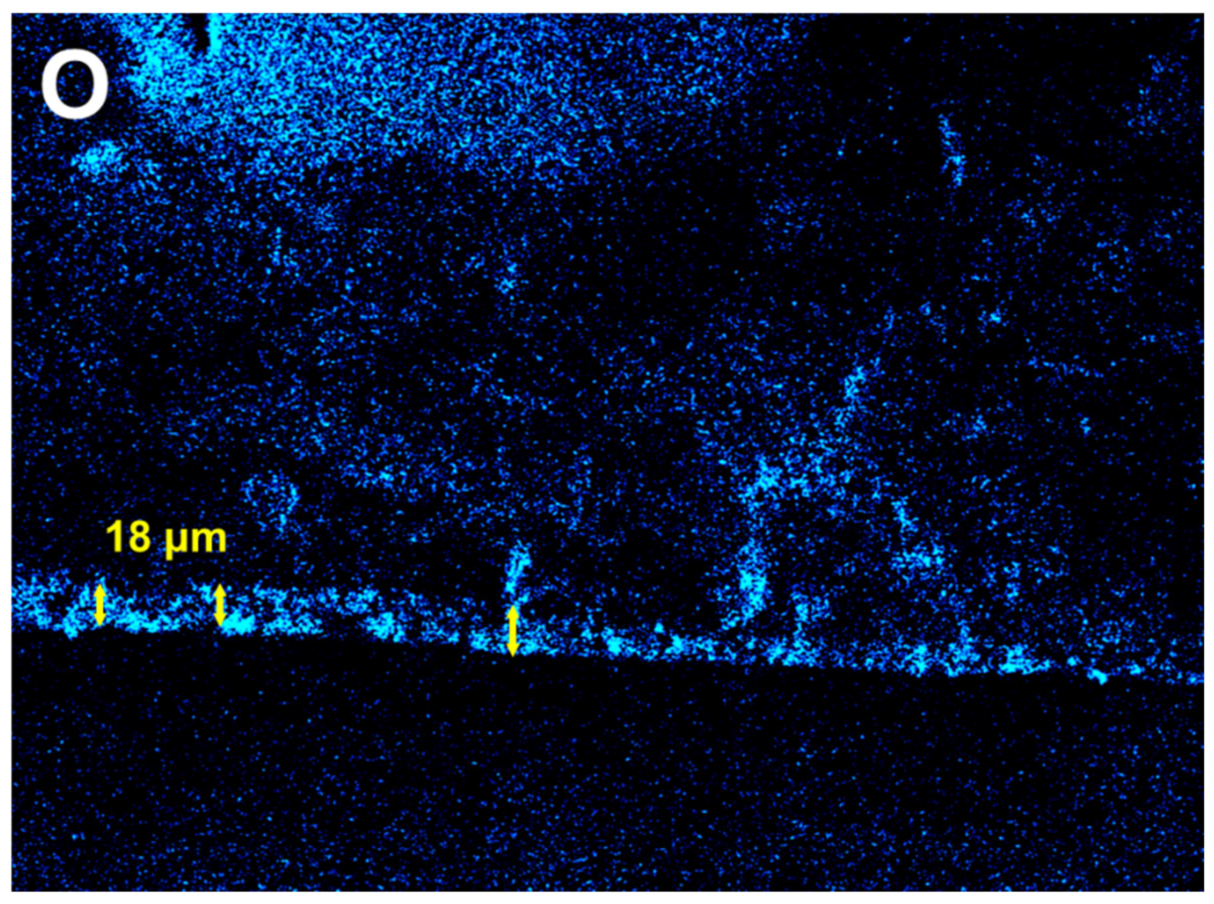 Materials 18 04959 g006