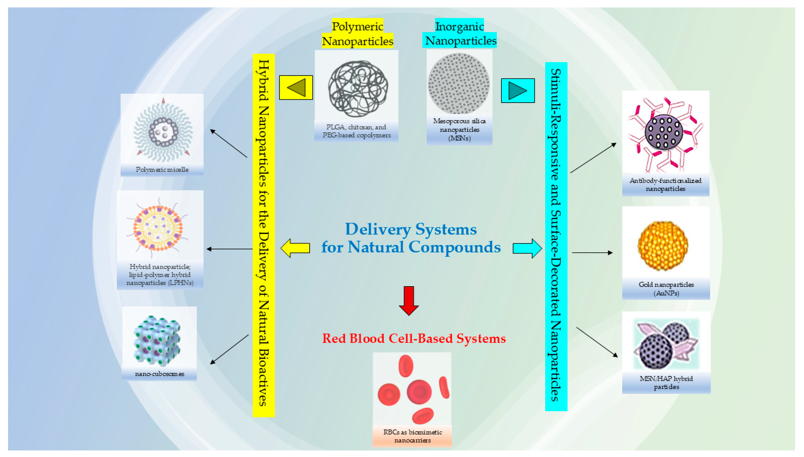 Materials 18 04960 g001