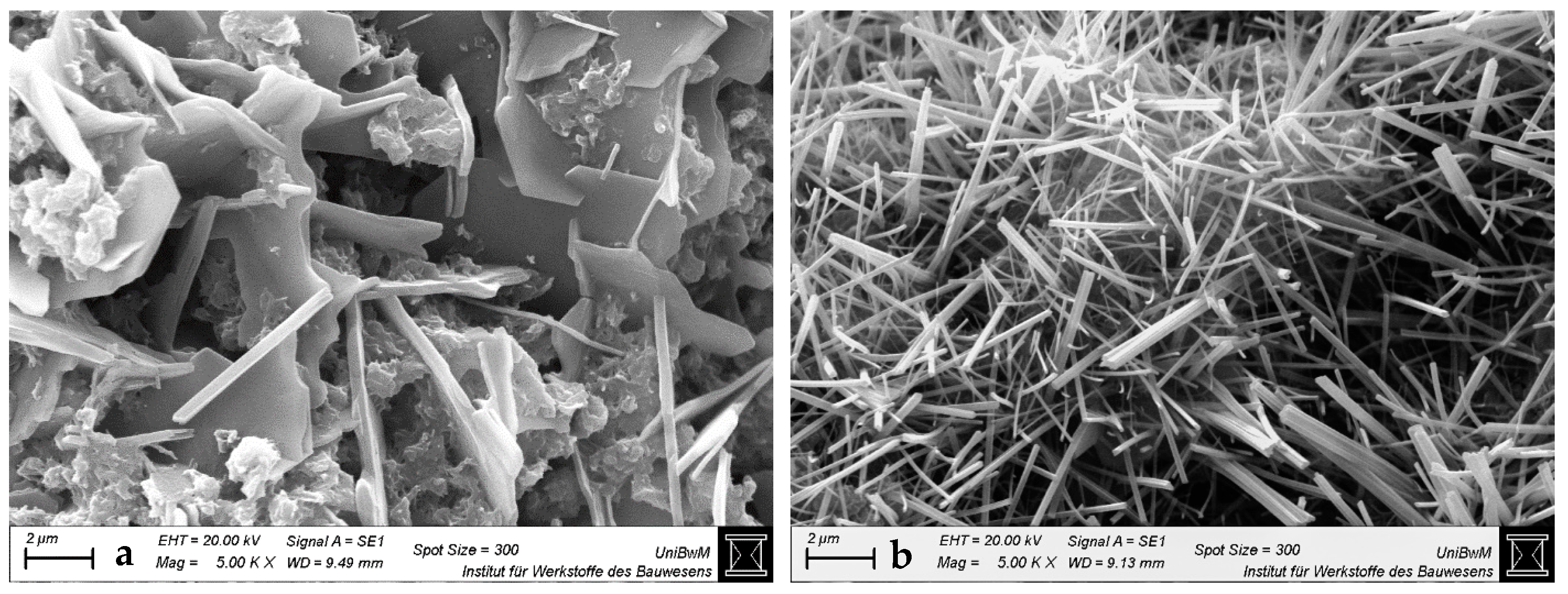 Materials 18 04972 g005