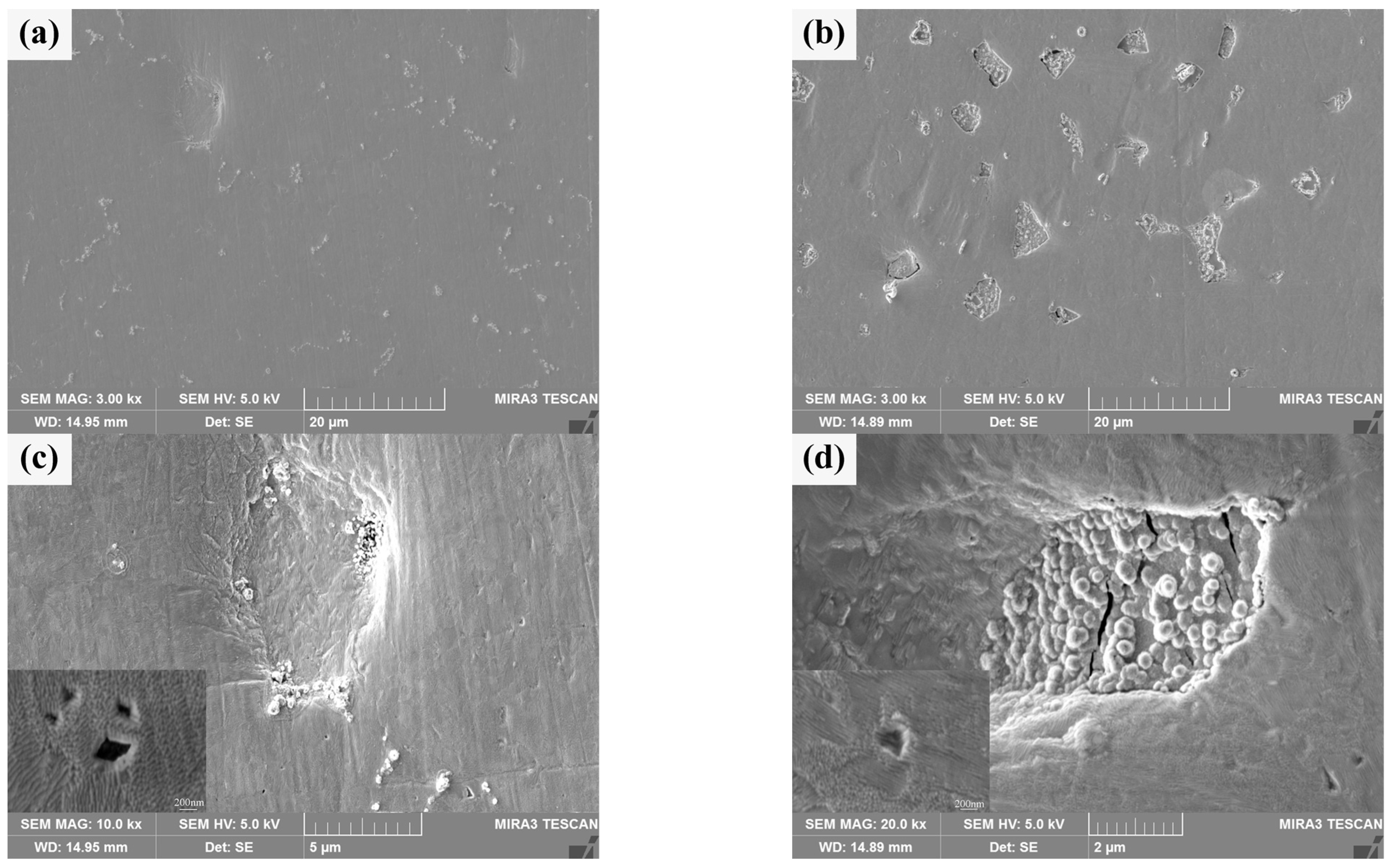 Materials 18 04973 g011