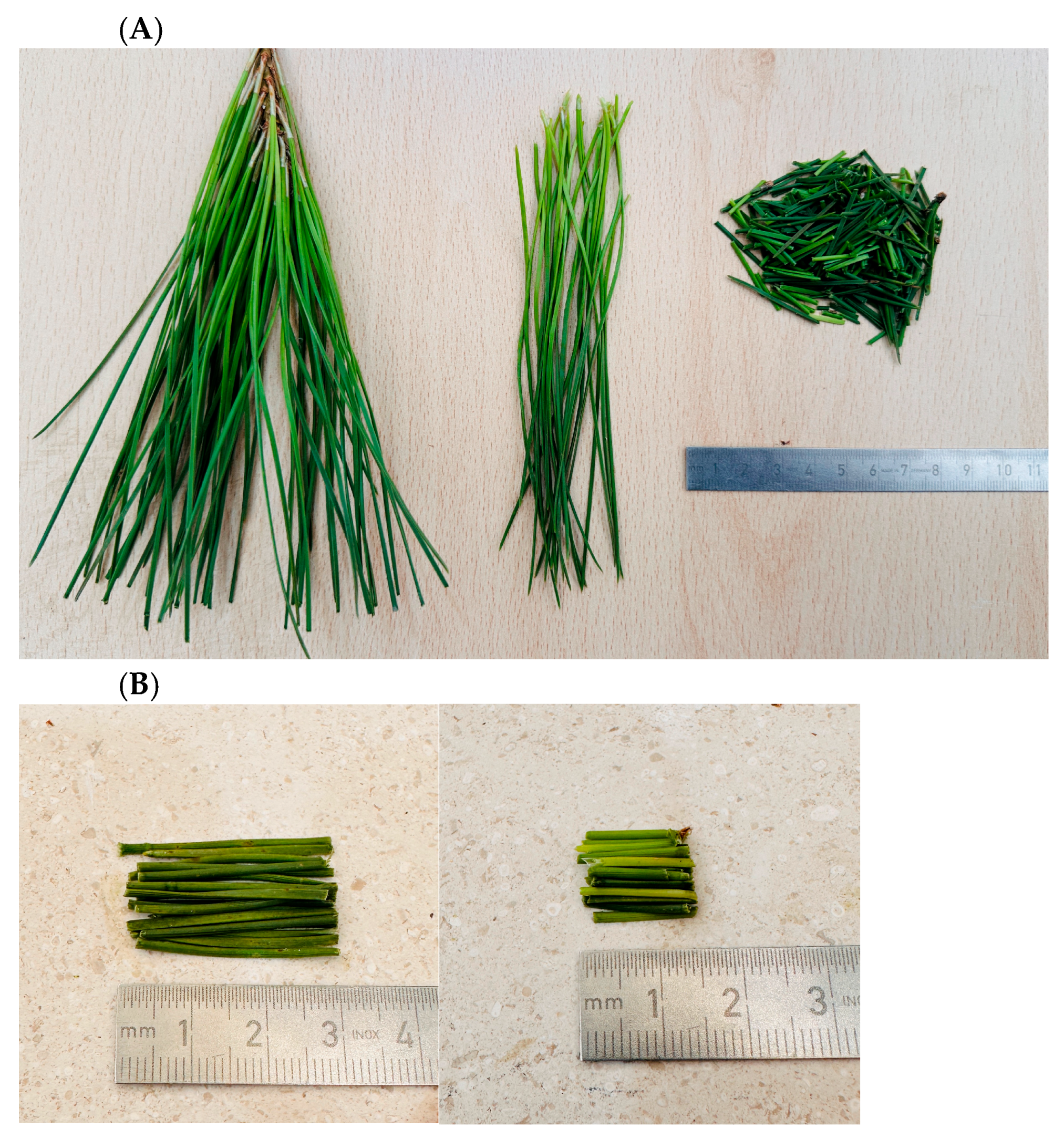 Materials 18 04978 g001