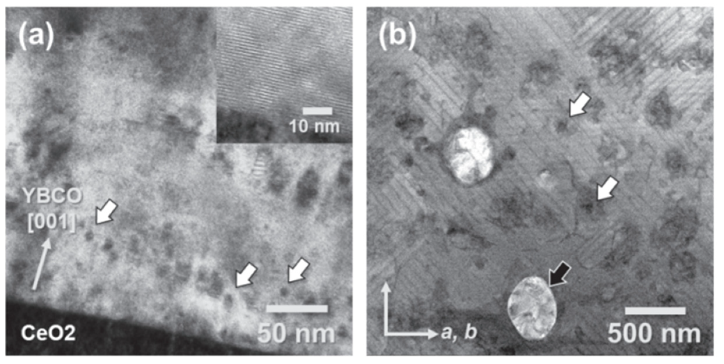 Materials 18 04988 g010