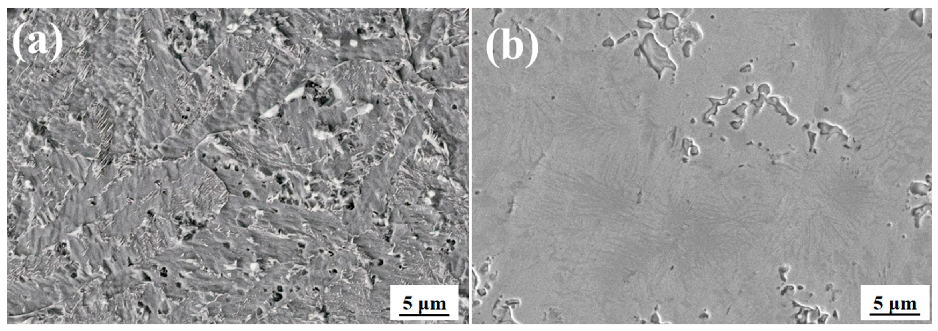 Materials 18 04996 g012 Materials 18 04996 g012