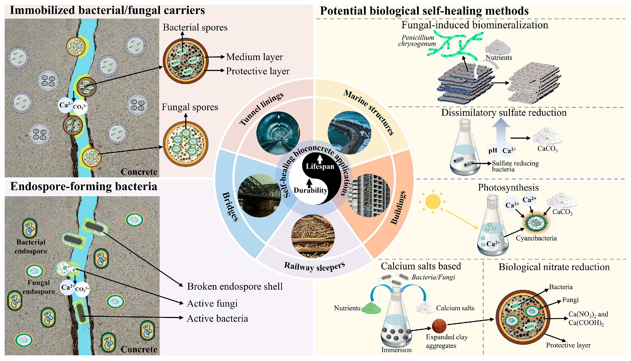Materials 18 05004 g001