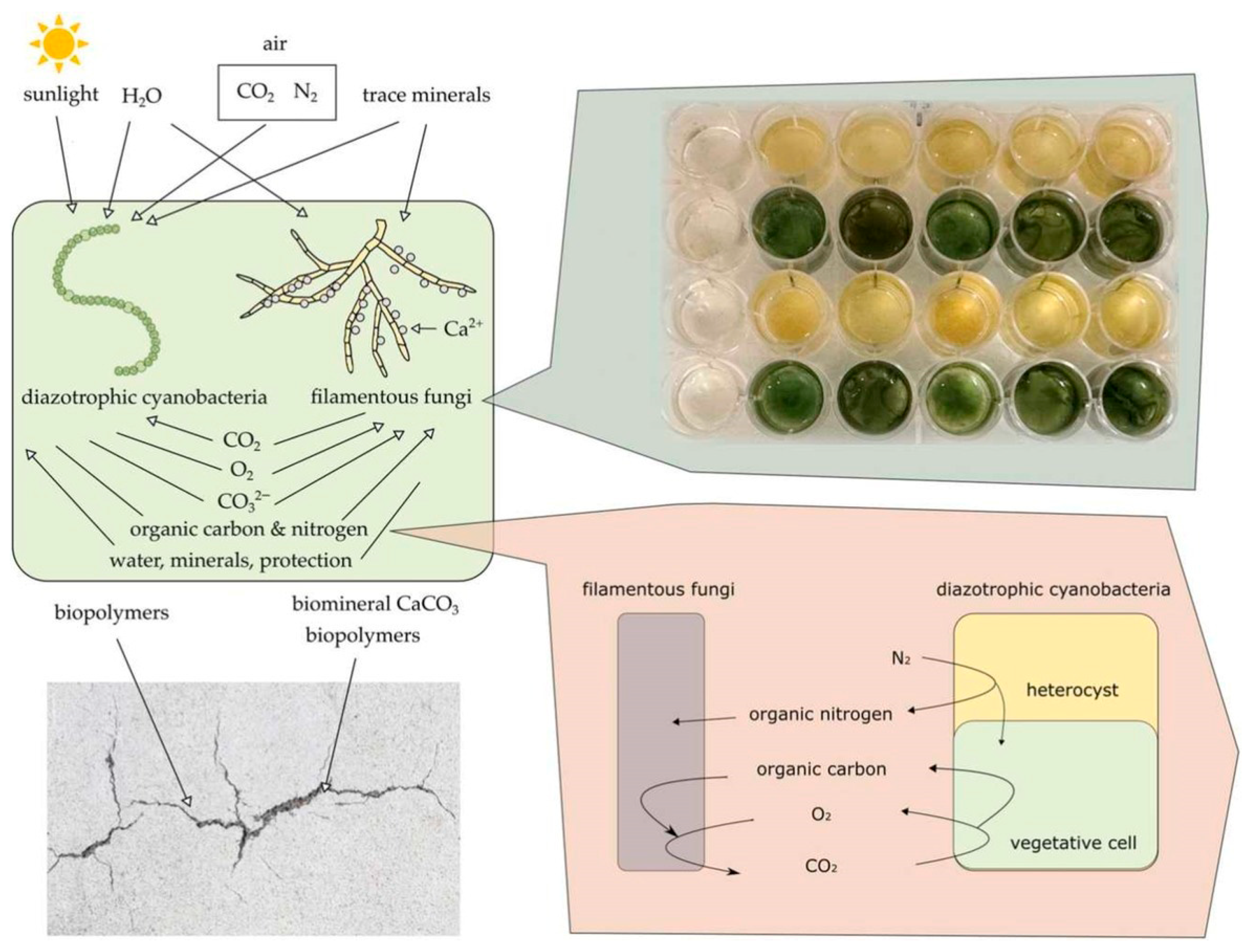 Materials 18 05004 g002