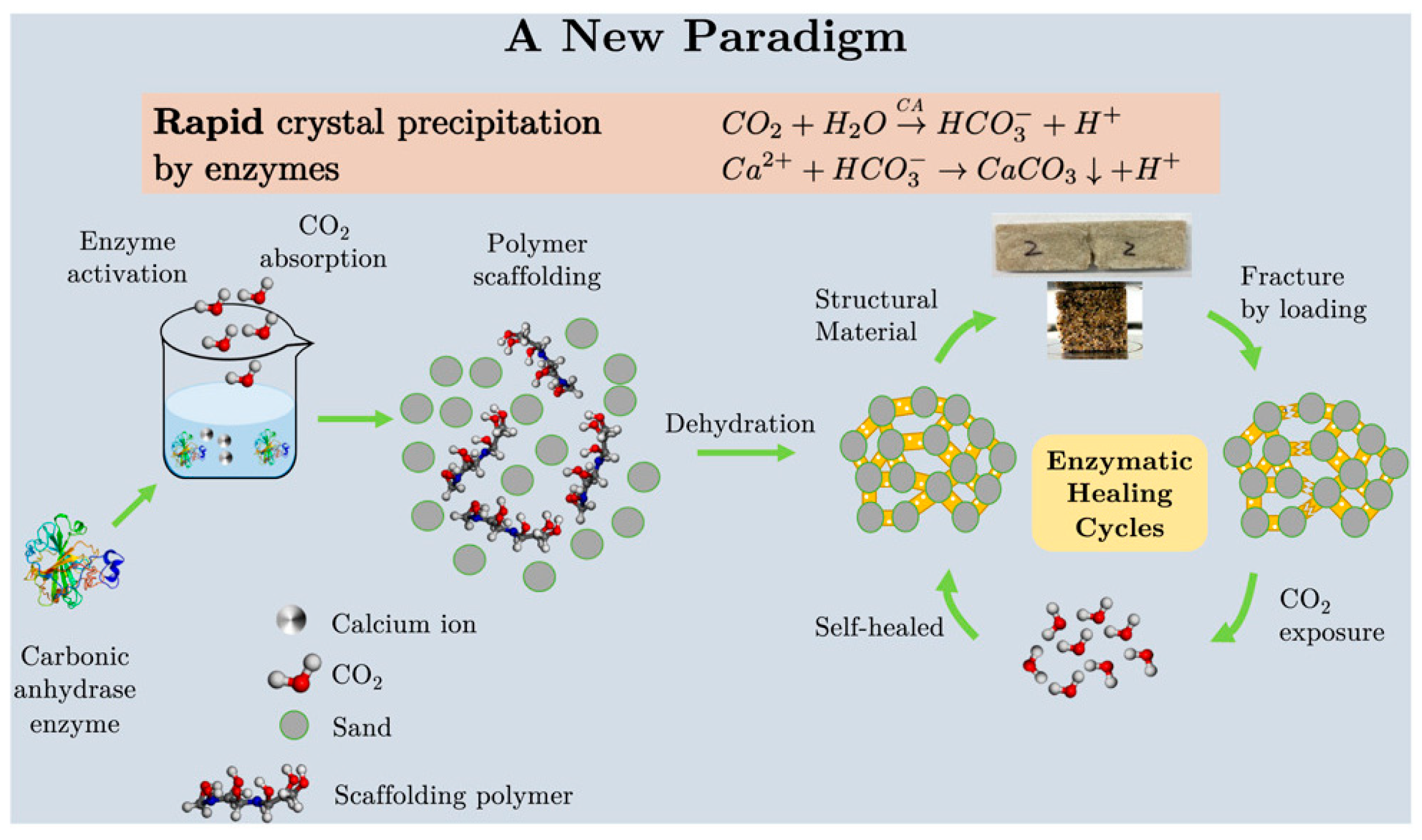 Materials 18 05004 g006