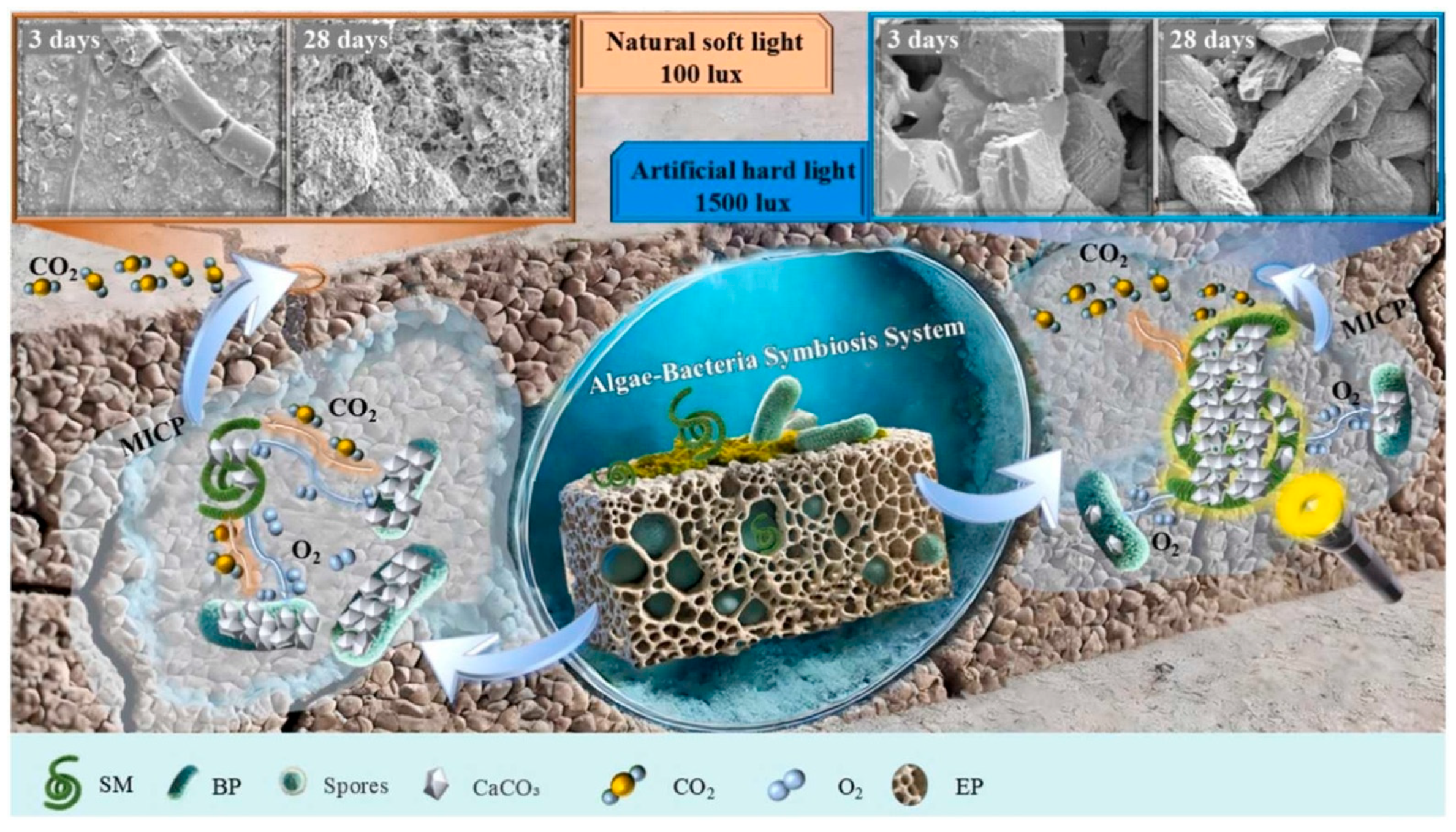 Materials 18 05004 g007